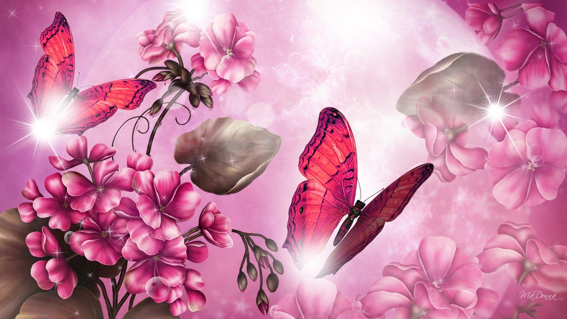 Crystal Pink Butterfly Wallpaper, Butterfly Wallpaper. HD