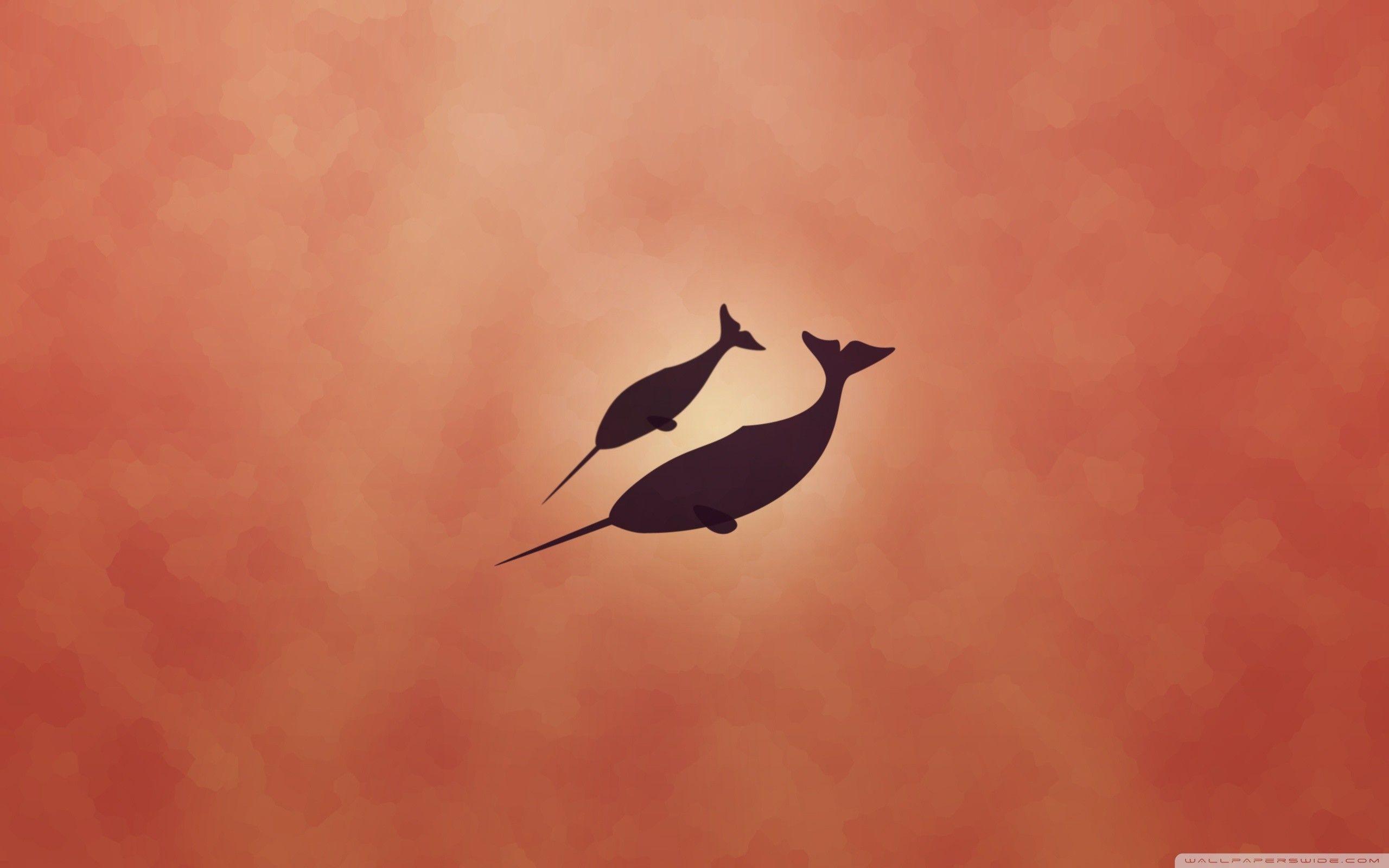 Narwhal Wallpaper