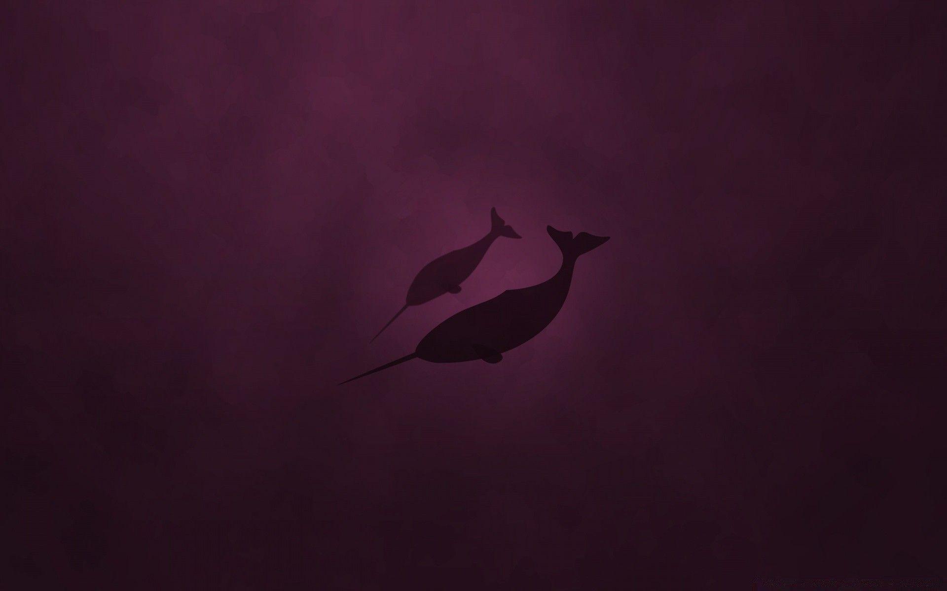 Linux Natty Narwhal. Android wallpaper for free