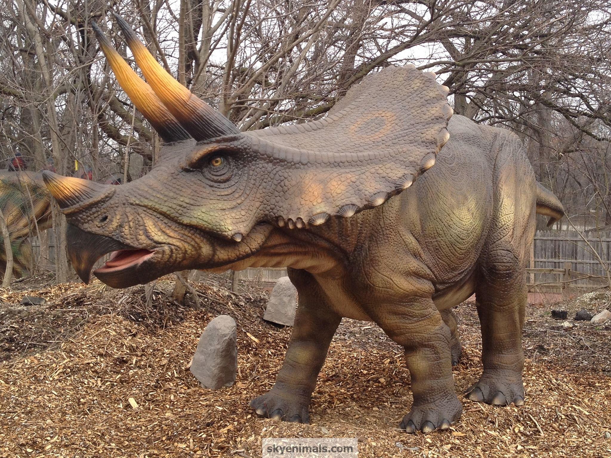 Wallpaper Triceratops Image