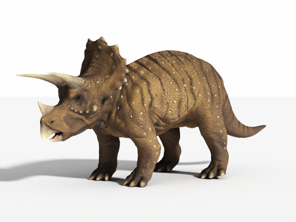 1024x768px Triceratops 270.13 KB