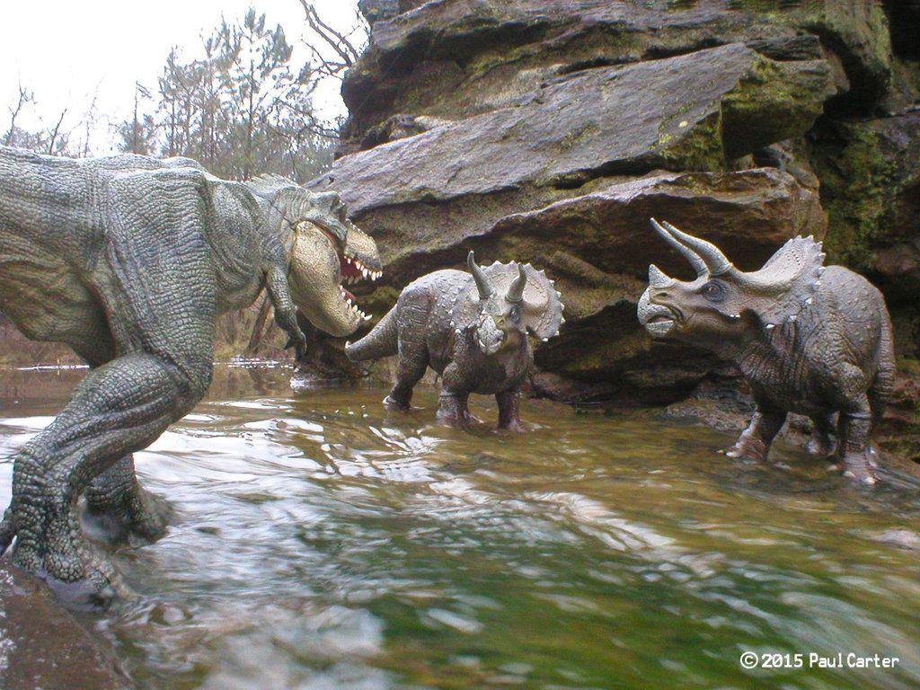 image of Dinosaur Triceratops Vs T Rex - #SpaceHero