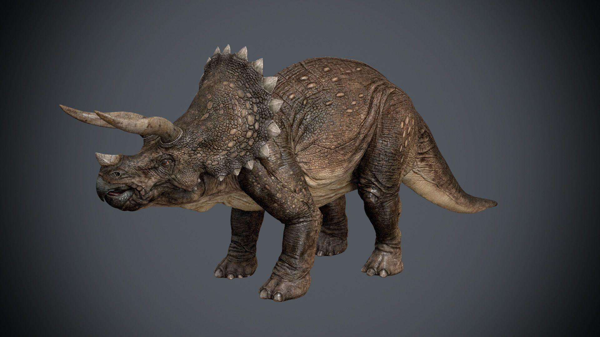 3D dinosaur Wallpaper