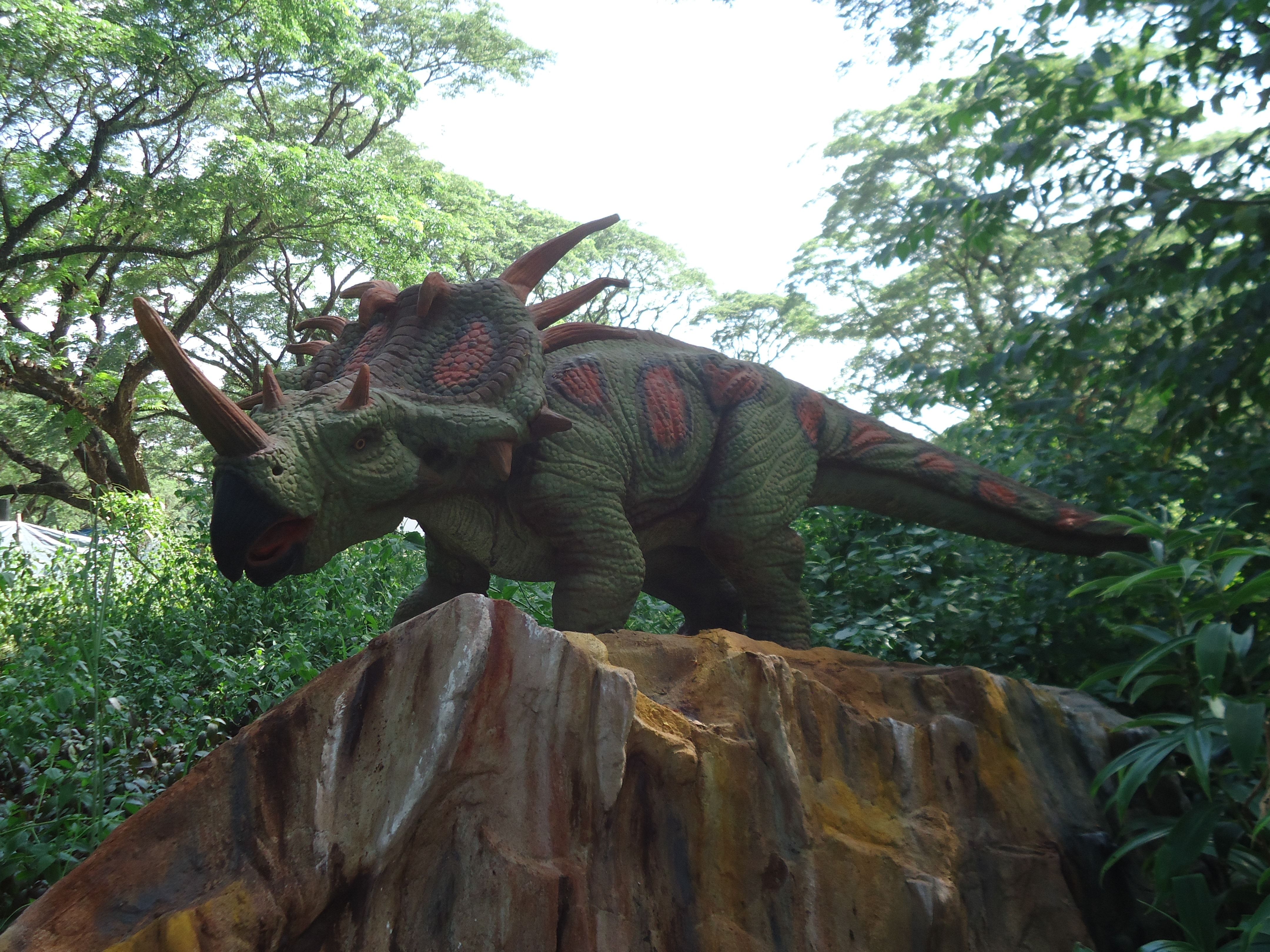 green and red triceratops statue free image