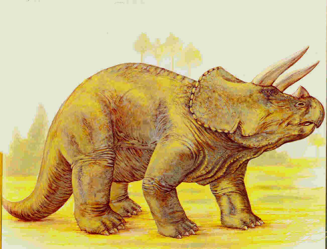 Triceratops (Illustration)