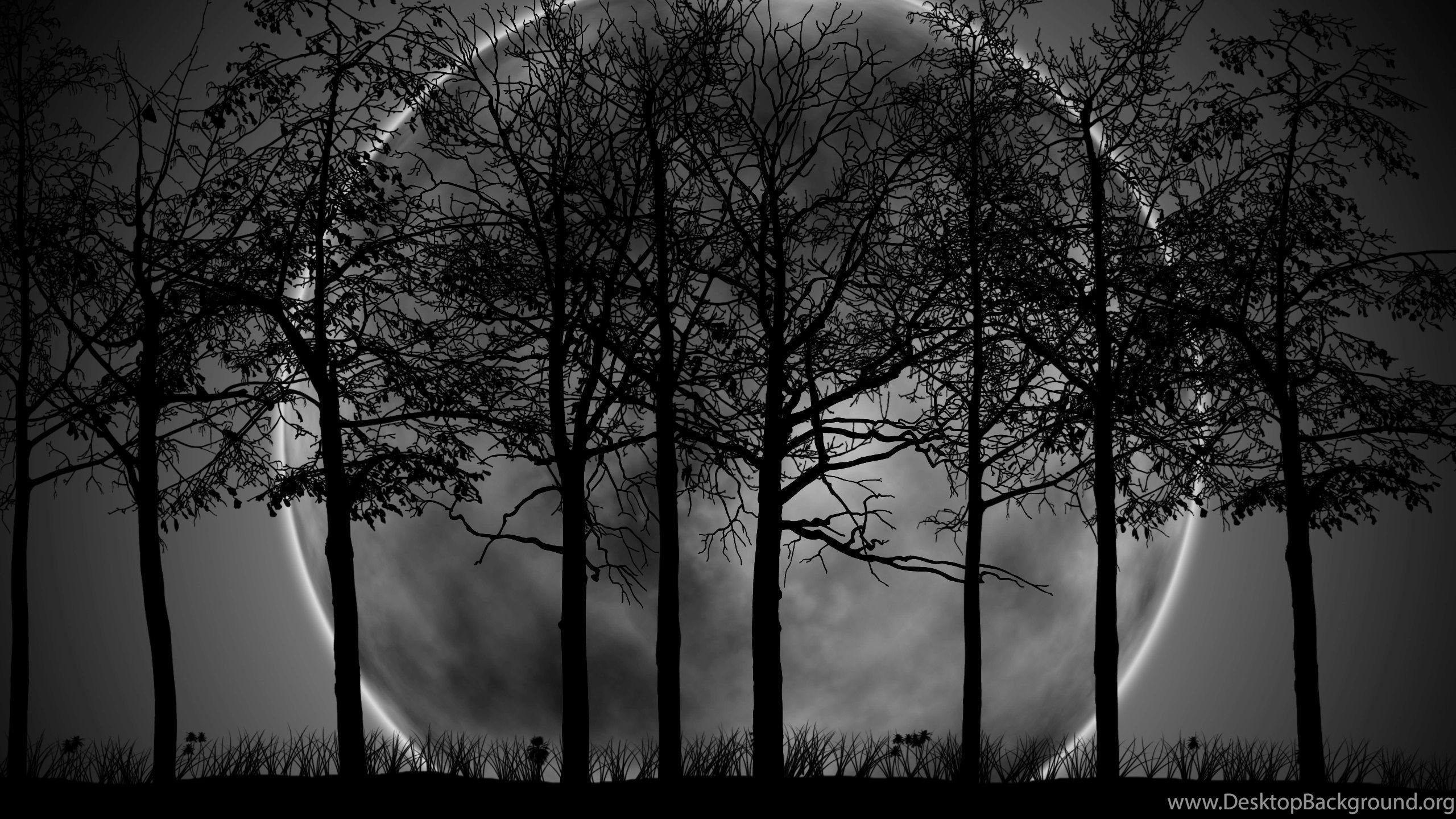 2930) Dark Forest Moon Wallpaper WalOps.com Desktop Background