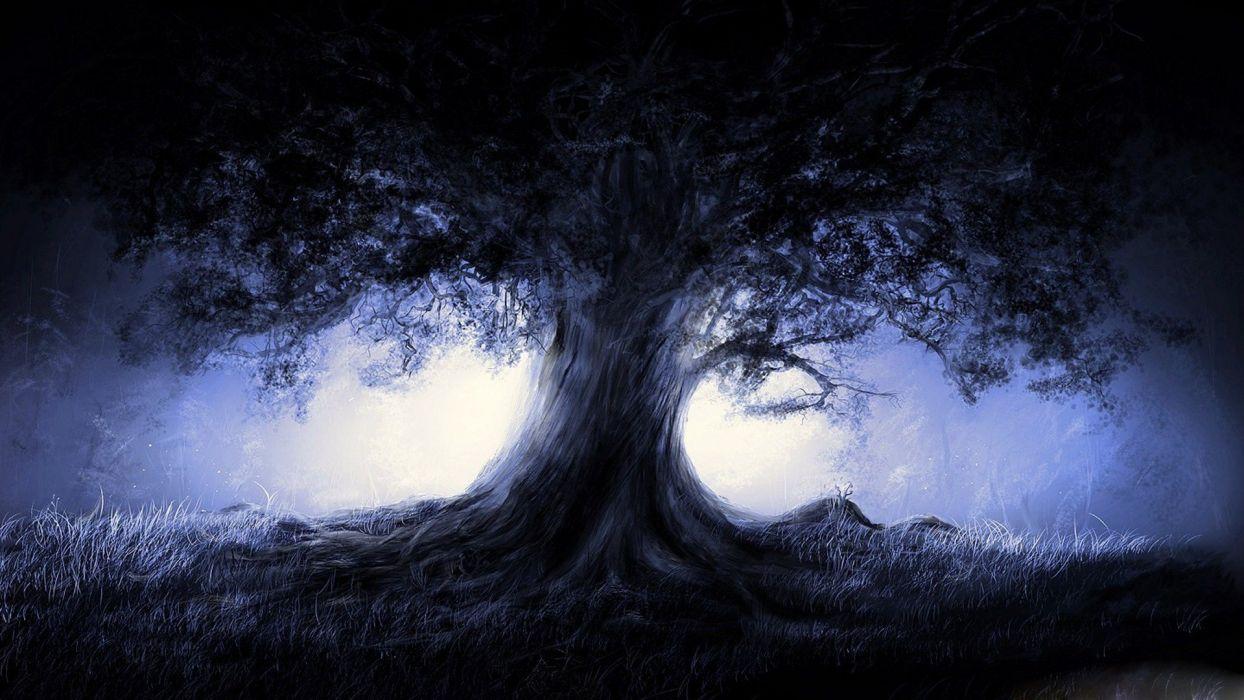 Dark forest tree moon light wallpaperx1080