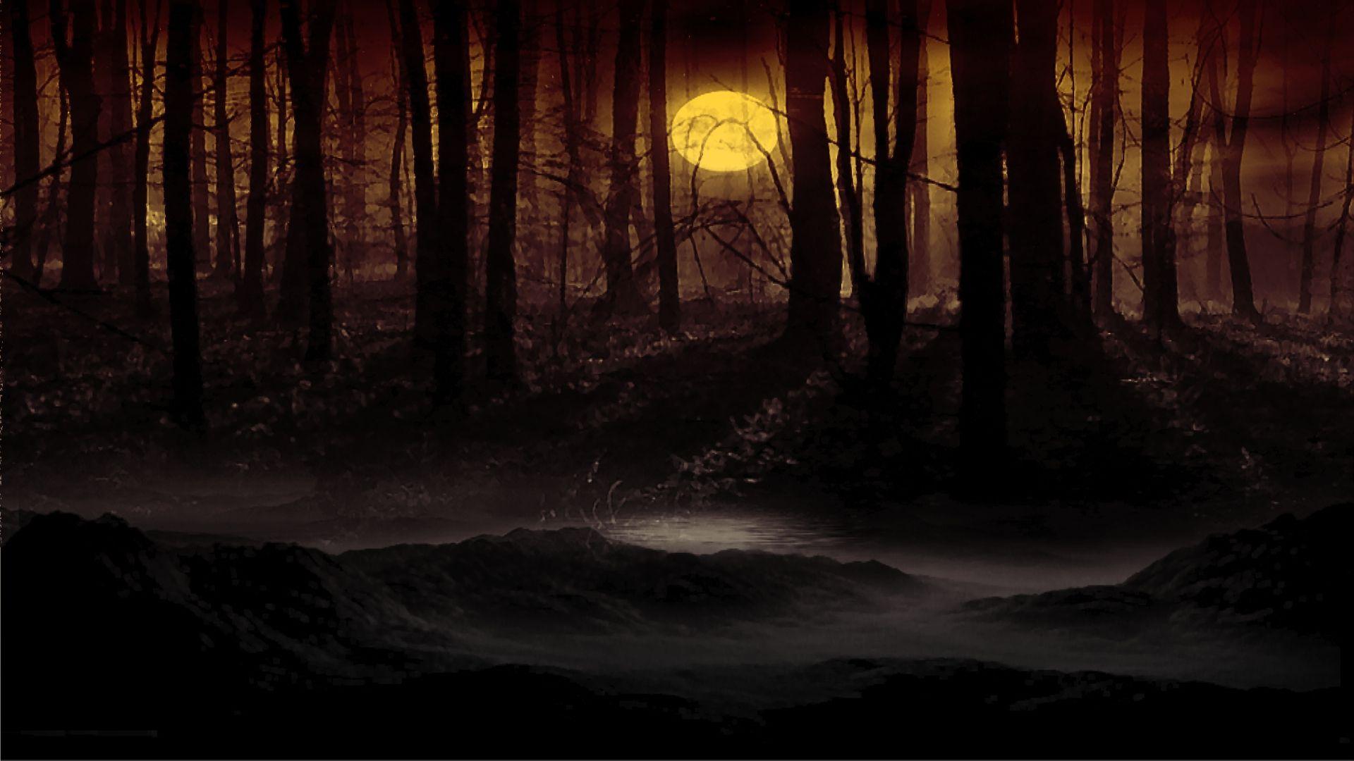 Dark Forest Moon Wallpaper Phone Outdoors Wallpaper 1080p