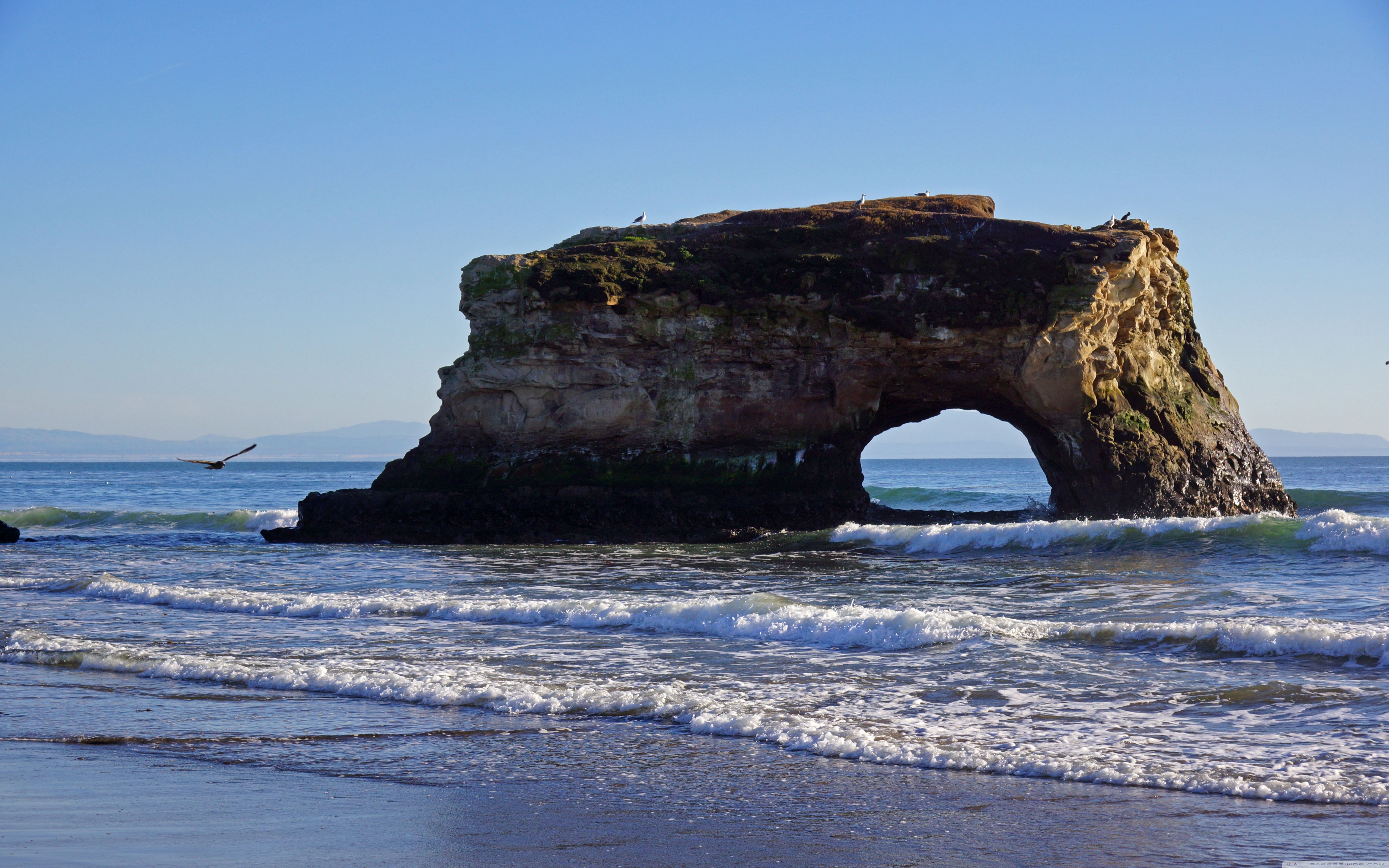 Natural Bridges State Beach, Santa Cruz ❤ 4K HD Desktop Wallpaper