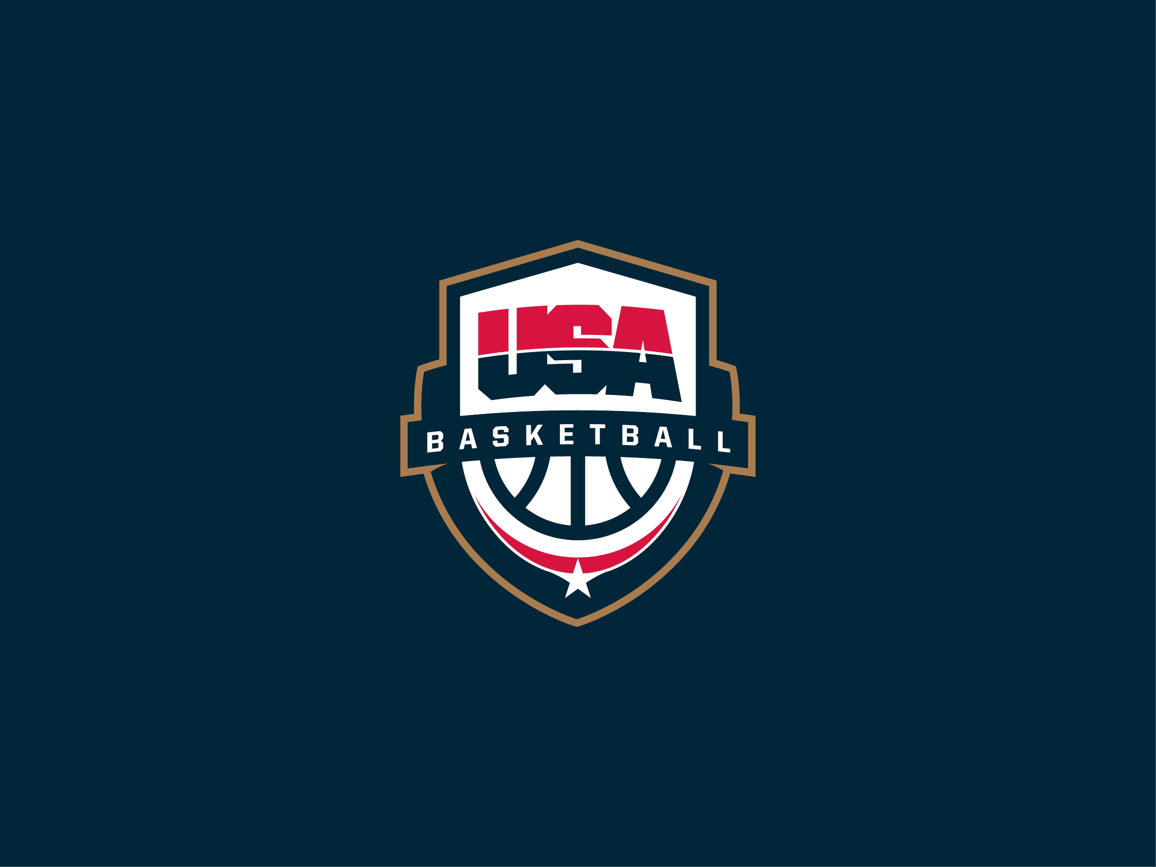 USA Basketball logo