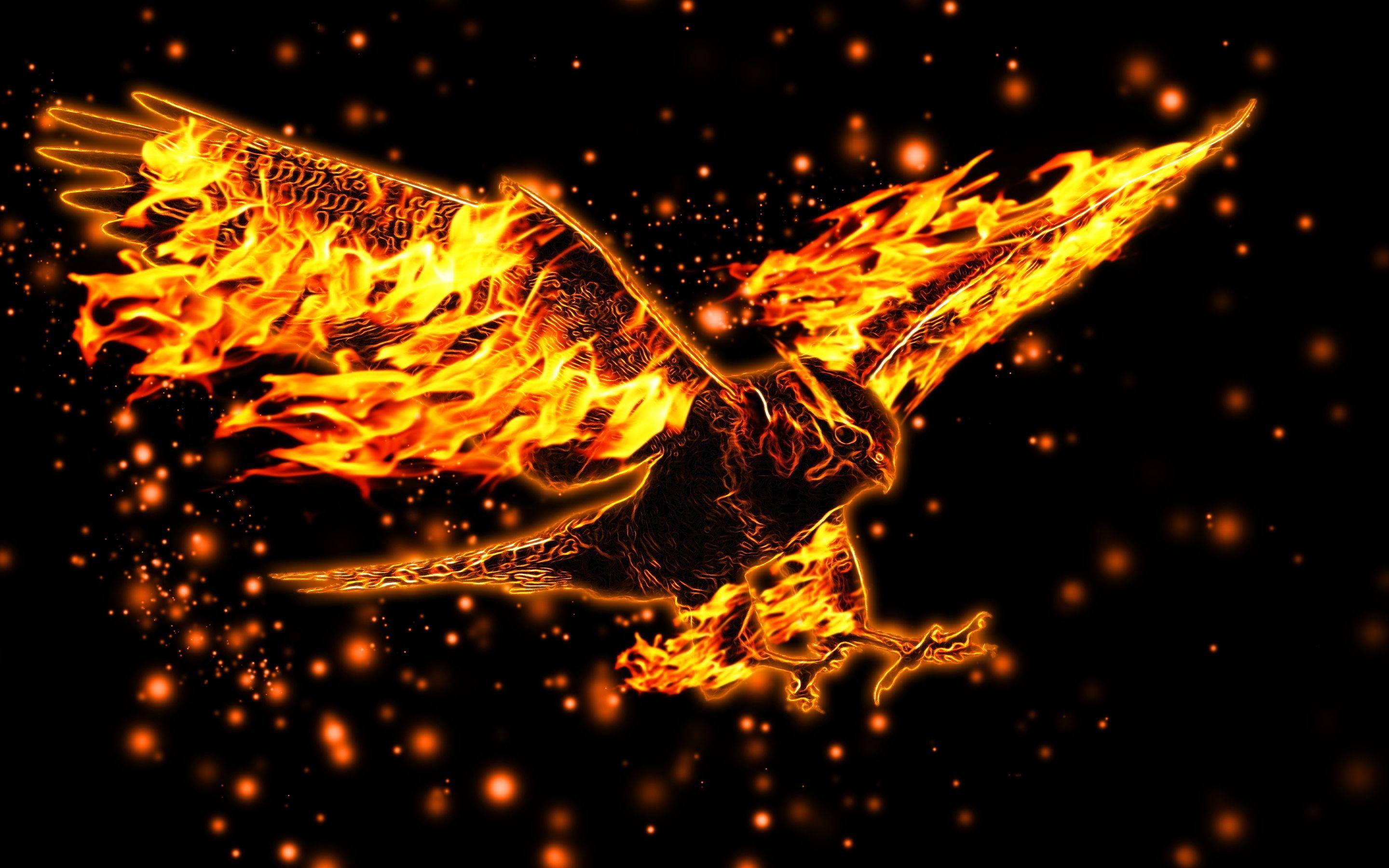 Fire Eagle Wallpapers - Wallpaper Cave