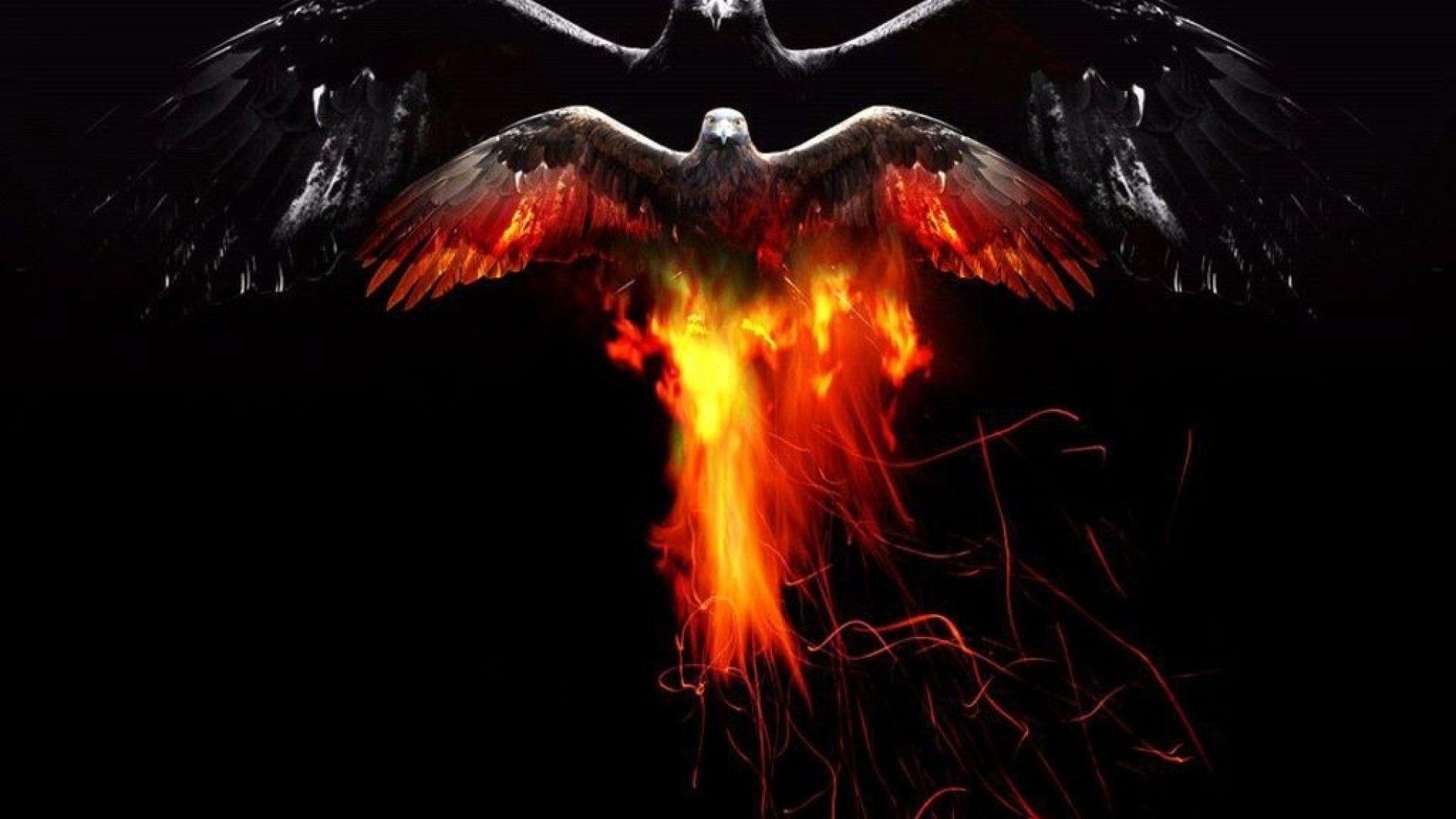 ScreenHeaven: Bird of fire sky eagle desktop and mobile background
