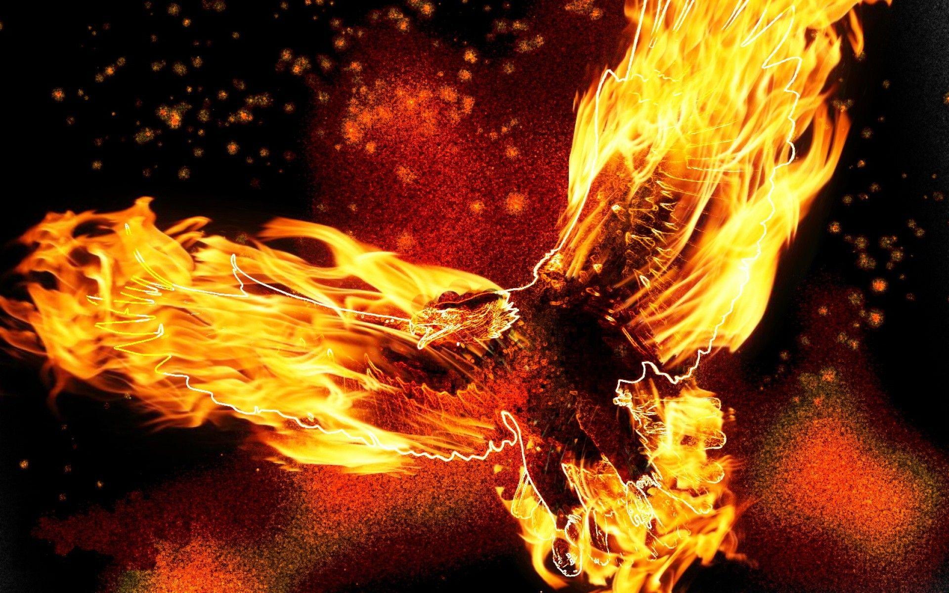 Bird eagle fire wallpaper and image, picture, photo