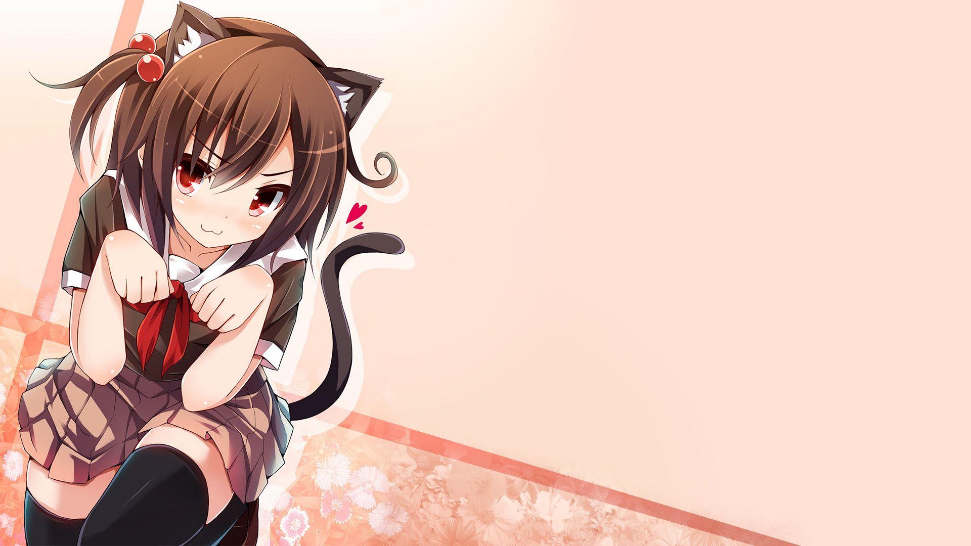Cat Anime Wallpapers - Wallpaper Cave