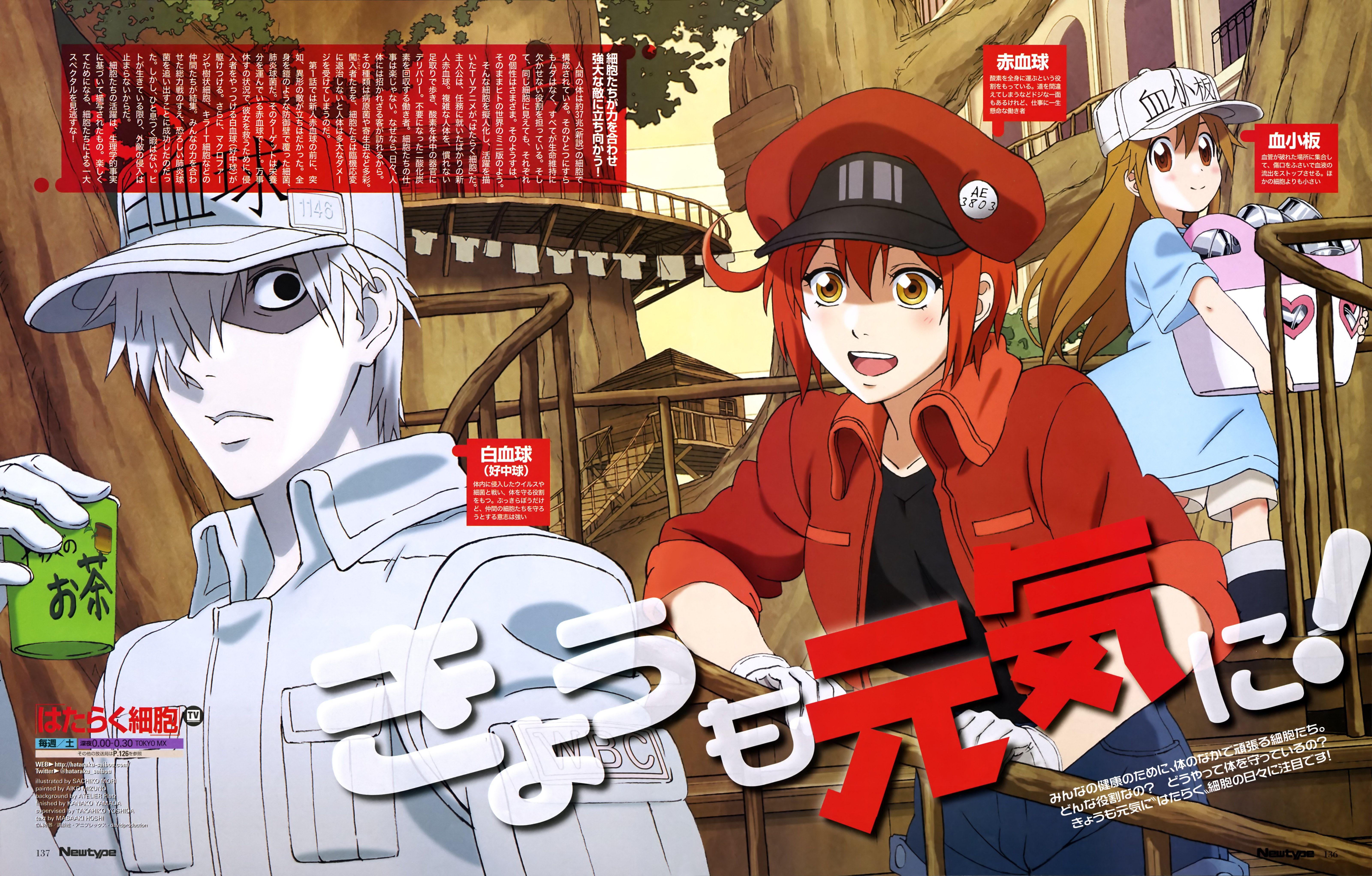 Hataraku Saibou - Desktop Wallpapers, Phone Wallpaper, PFP, Gifs, and More!