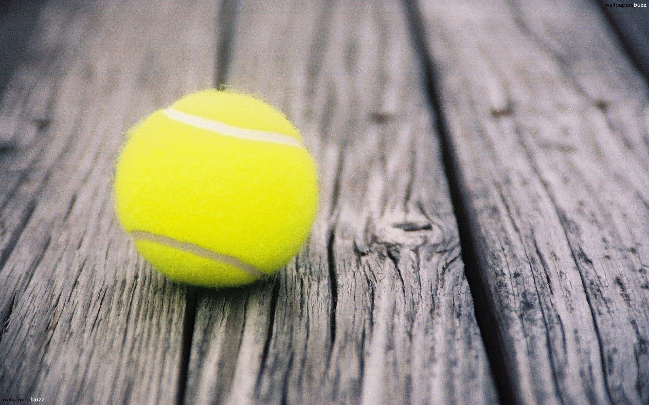 A lost tennis ball HD Wallpaper