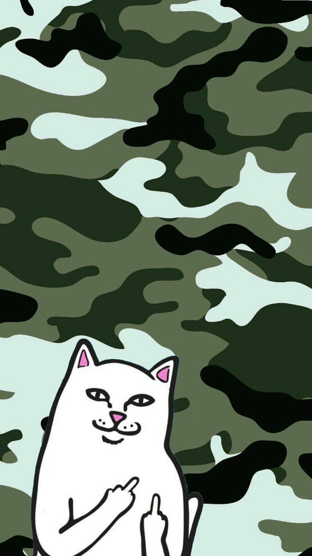 Ripndip iphone wallpaper #ripndip #middle #finger #cat #wallpaper