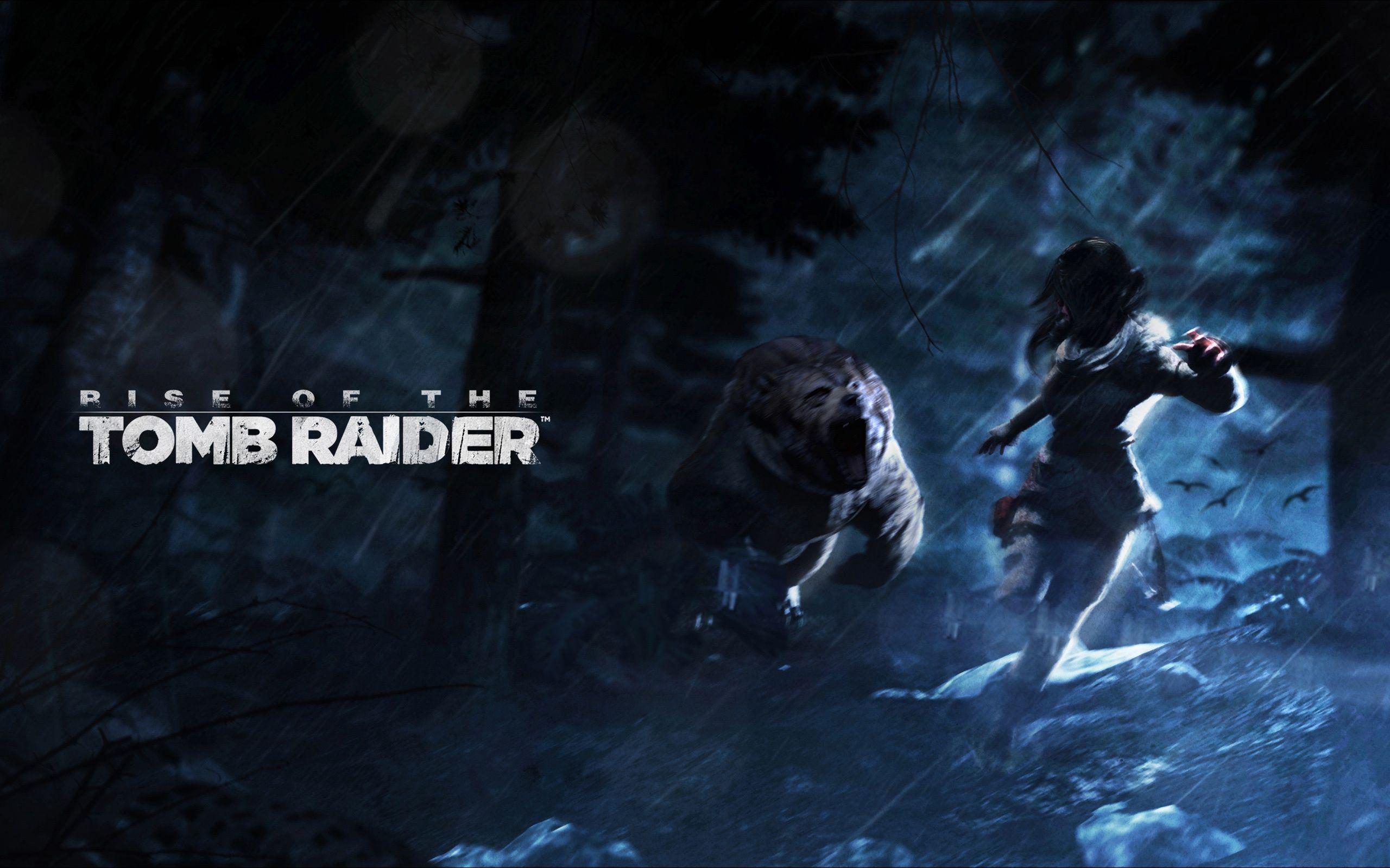 Rise of the Tomb Raider Artwork Wallpaper in jpg format for free