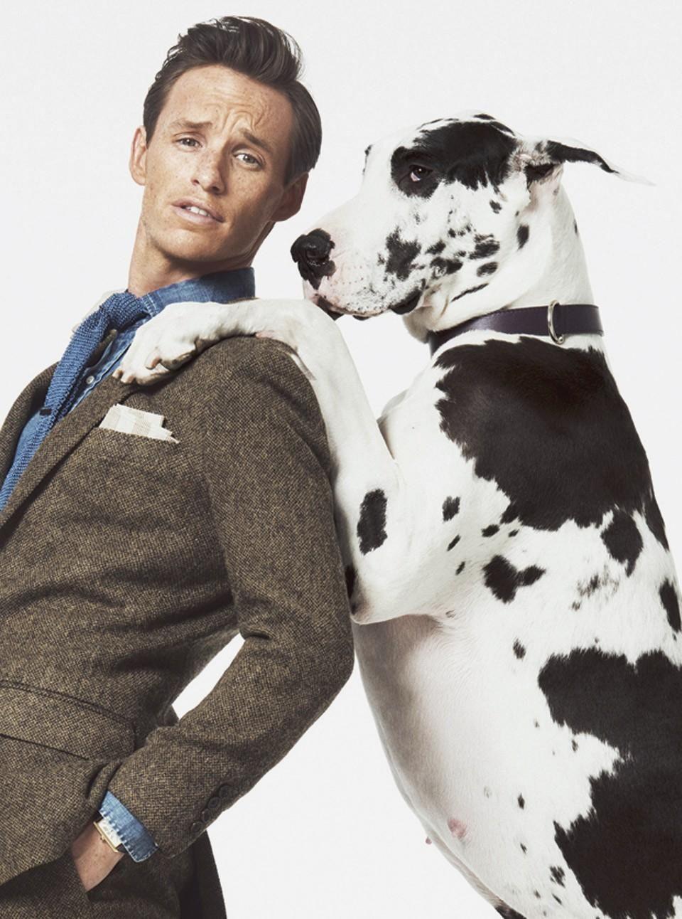 Eddie Redmayne iPhone Wallpaper HQ Definition. Eddie Redmayne