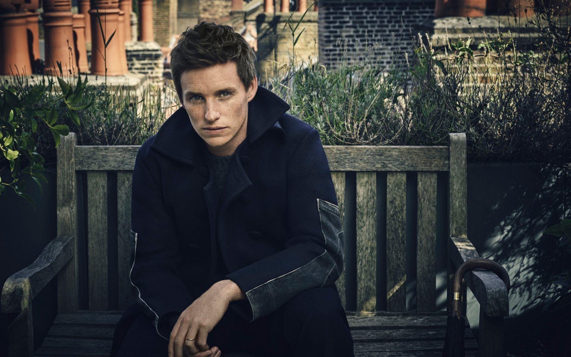 Download wallpaper Eddie Redmayne, Portrait, British actor