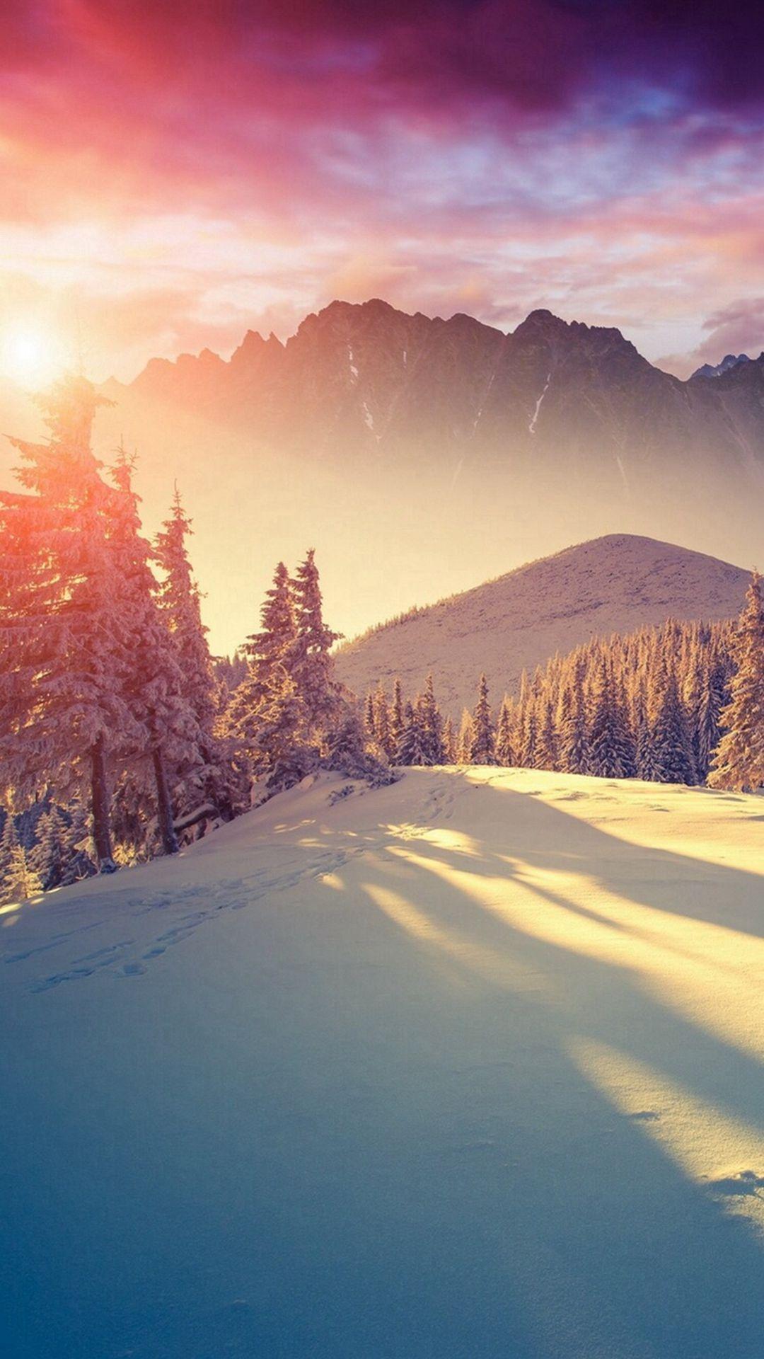 Sun Shining Through Winter Pine Trees #iPhone #wallpaper. iPhone