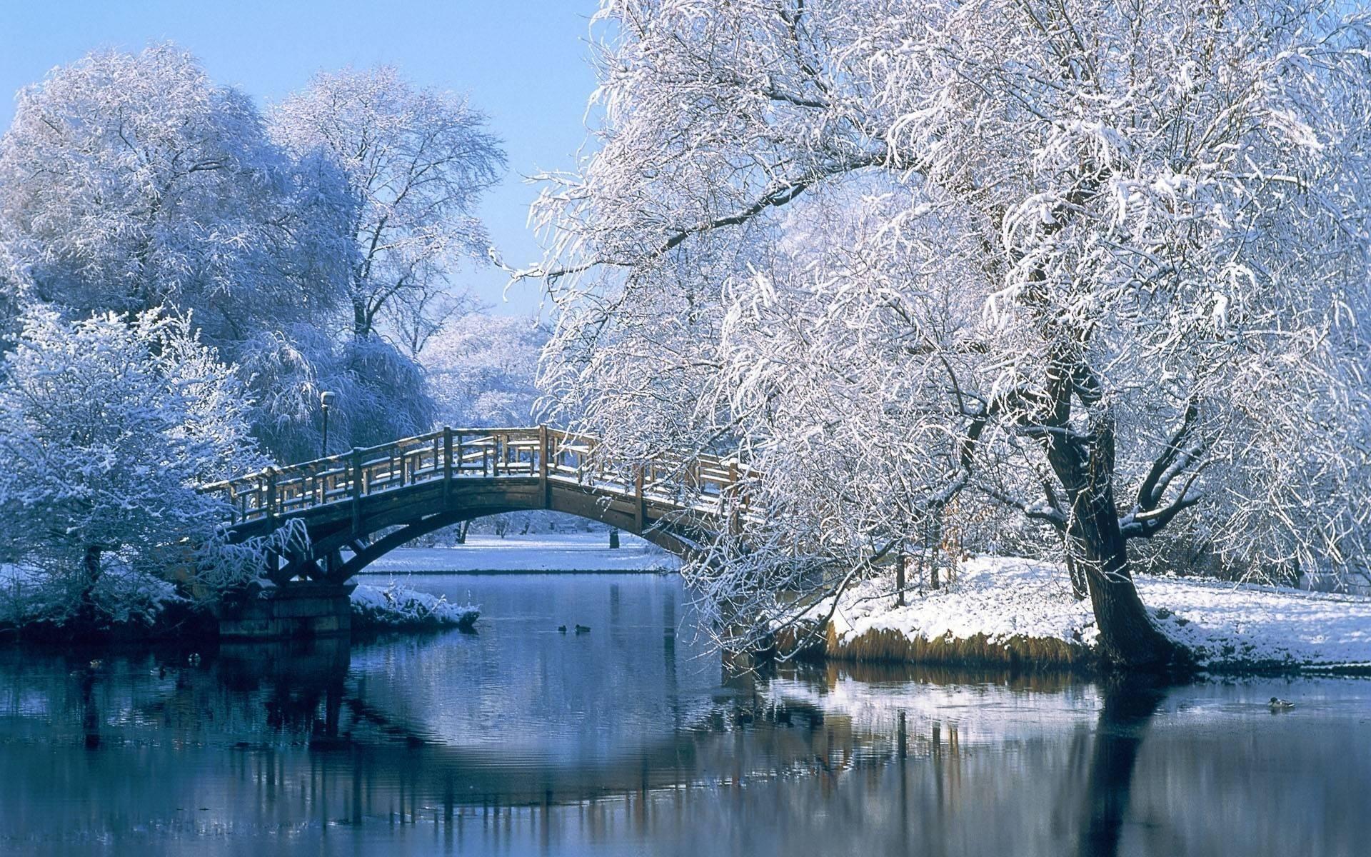 Park Snow Winter Nature Trees Free Desktop Wallpaper Luxury Anime