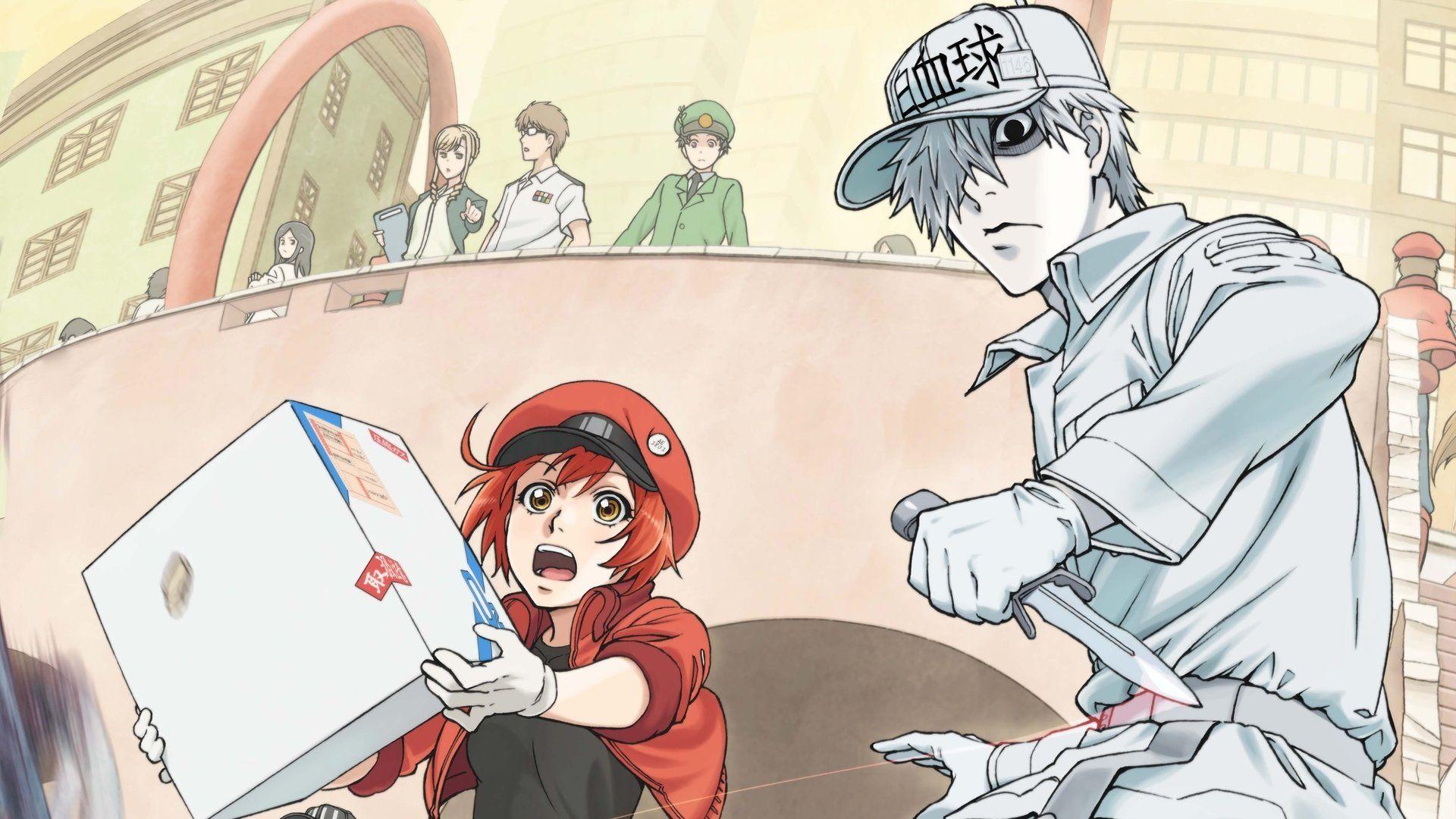 Anime Cells at Work! Code Black HD Wallpaper