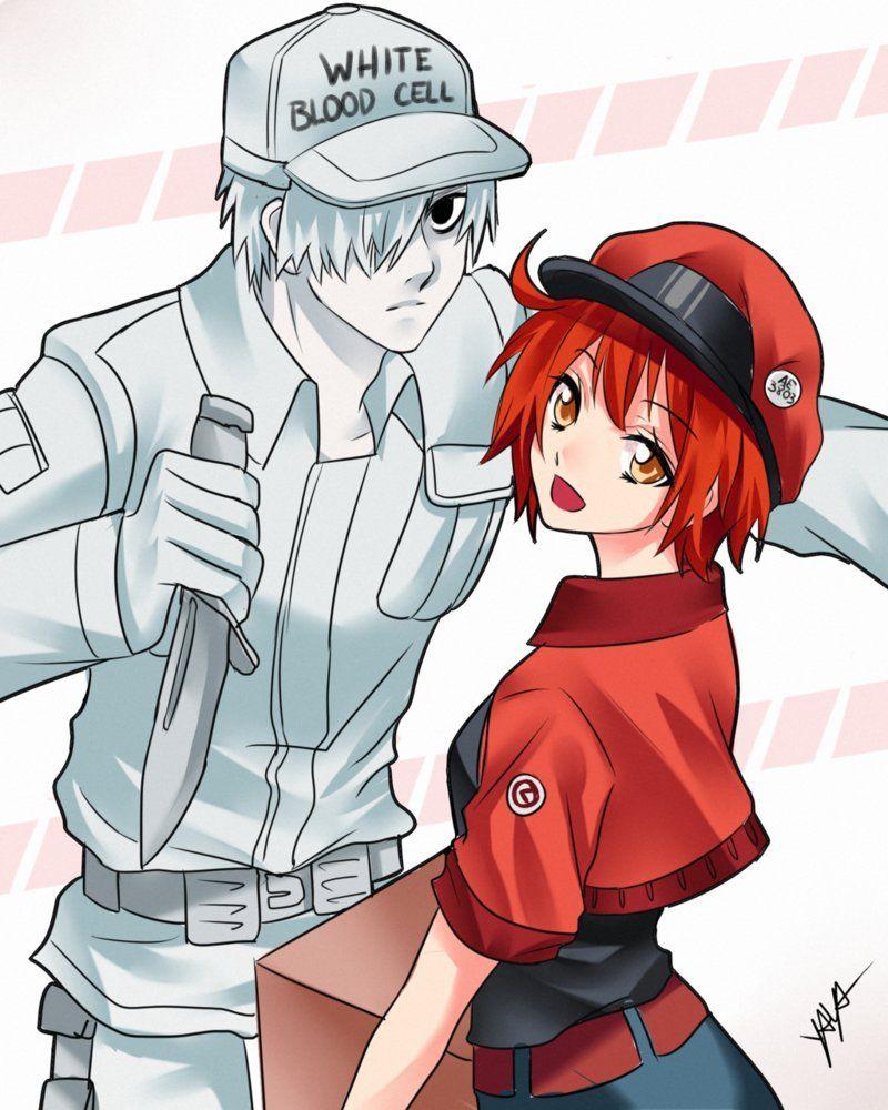 Cells At Work Aesthetic Collage Wallpaper