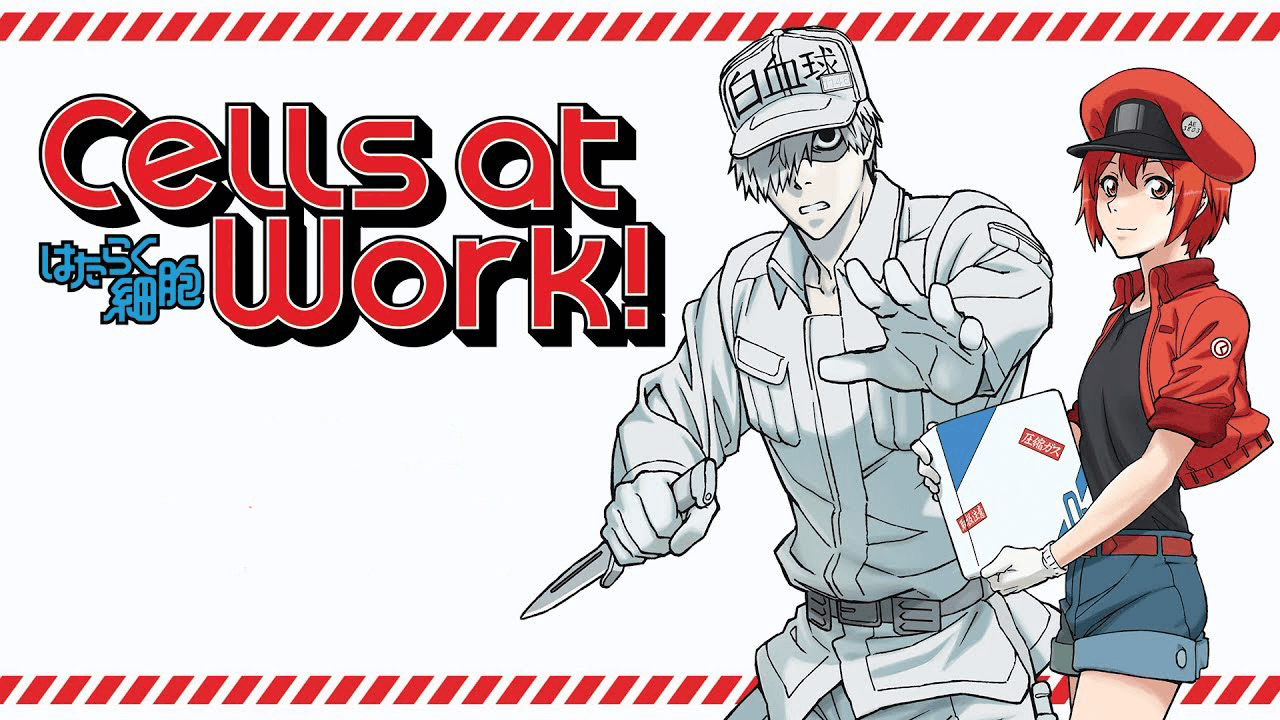 Cells at Work Anime Characters HD 4K Wallpaper #5.3007