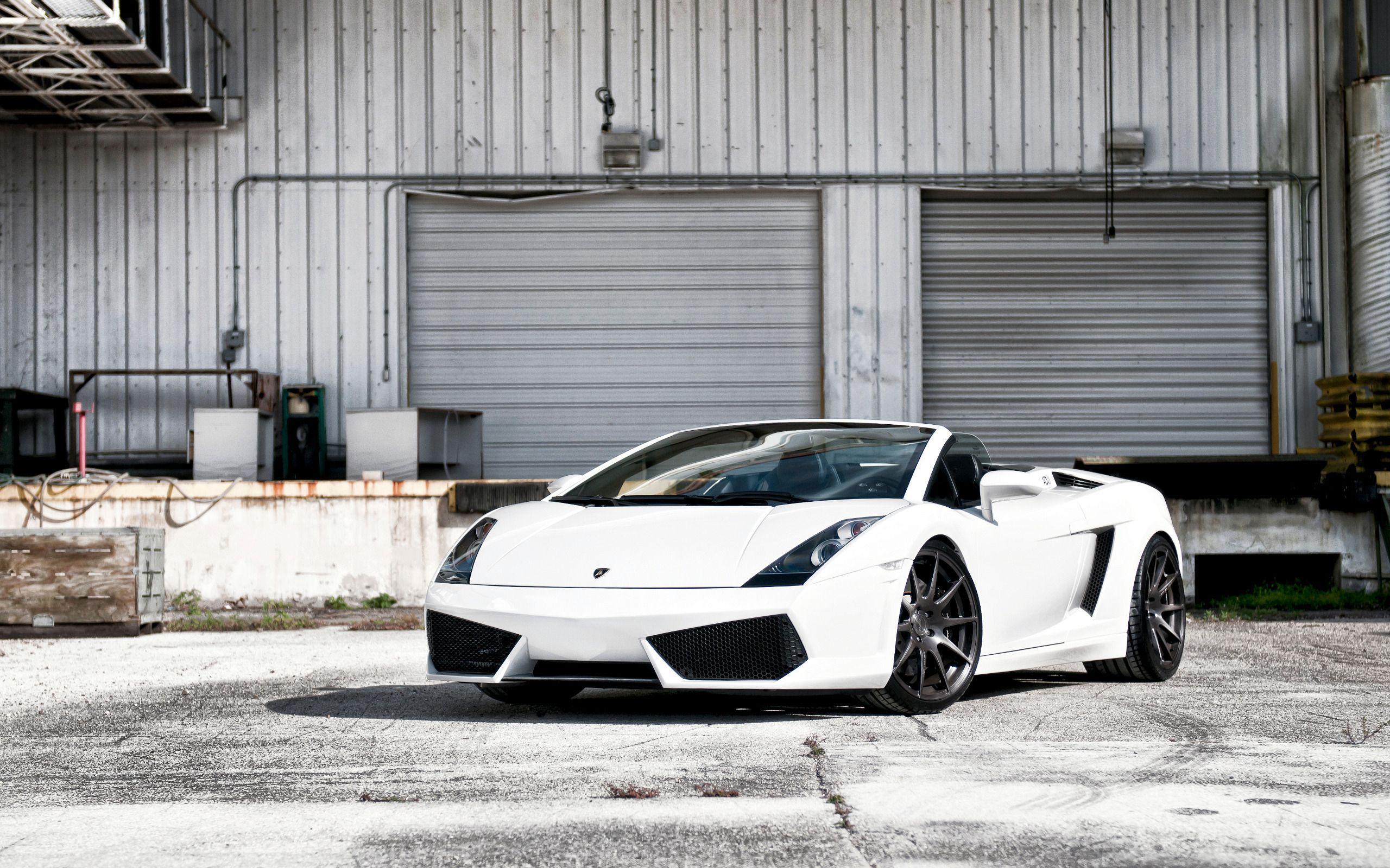 White Lamborghini Wallpaper