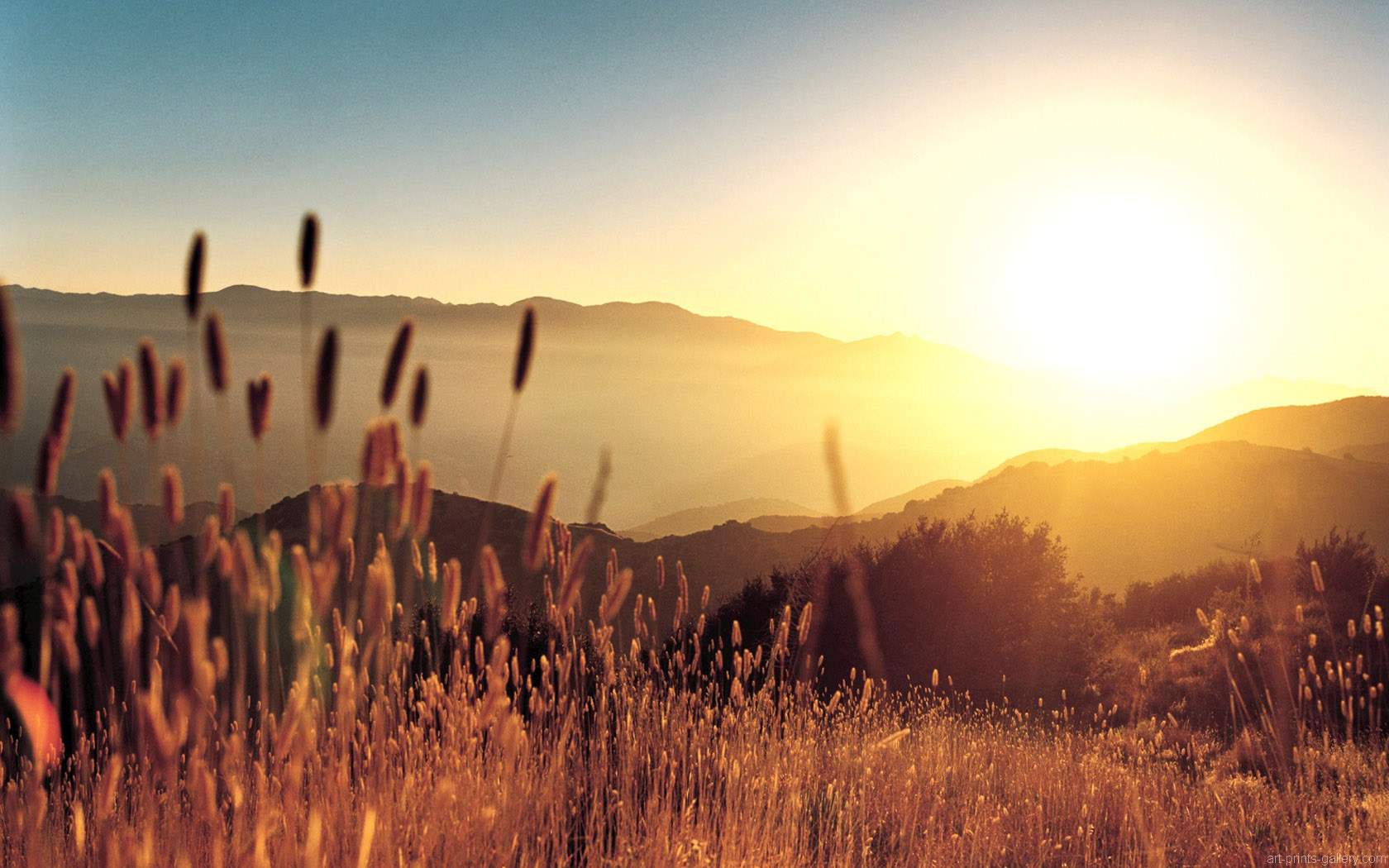 Free Inspiring Nature Wallpaper Image