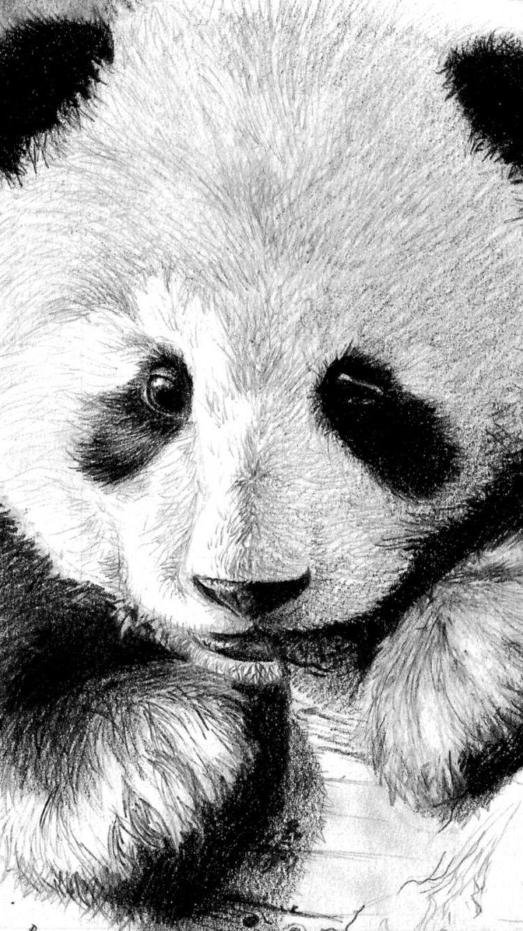 Panda Wallpapers Gray - Wallpaper Cave