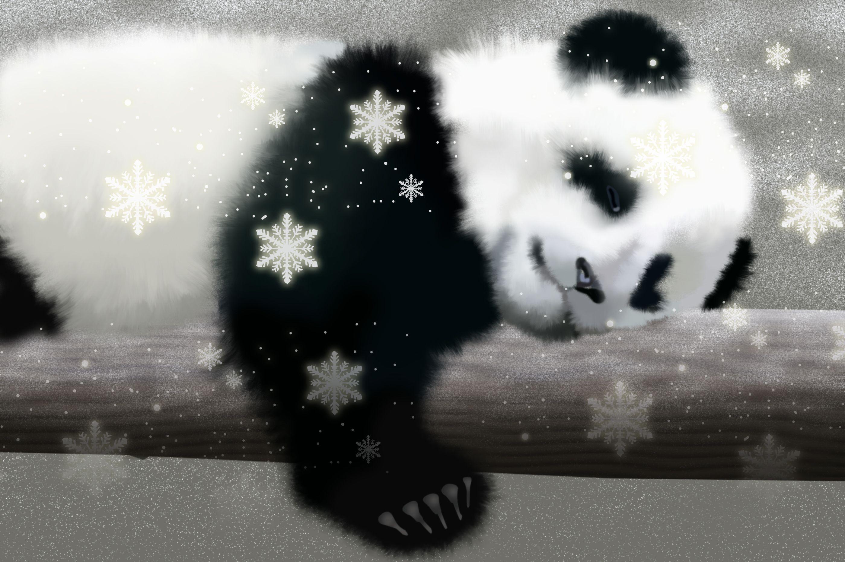 panda HD Wallpaper