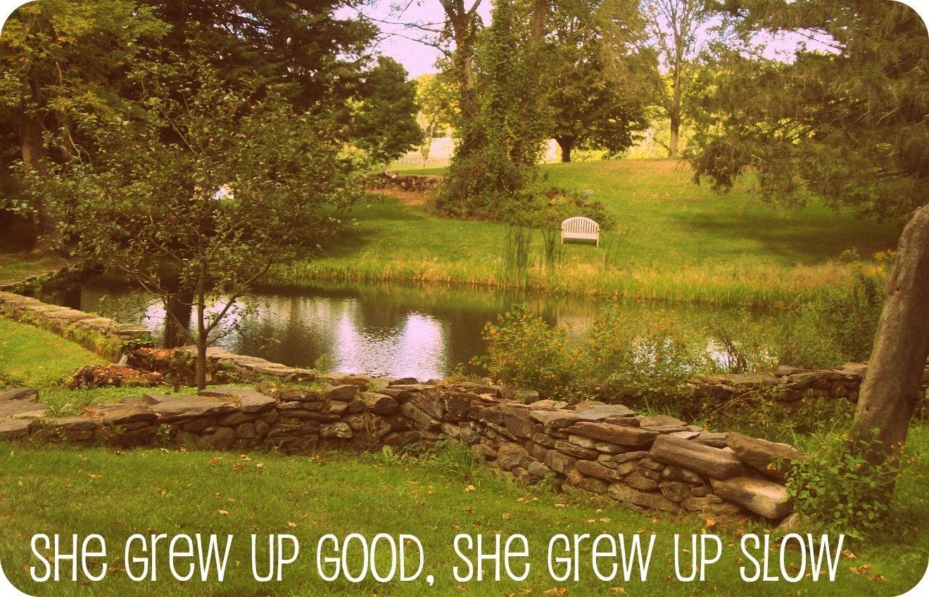 New England image American Honey HD wallpaper and background photo