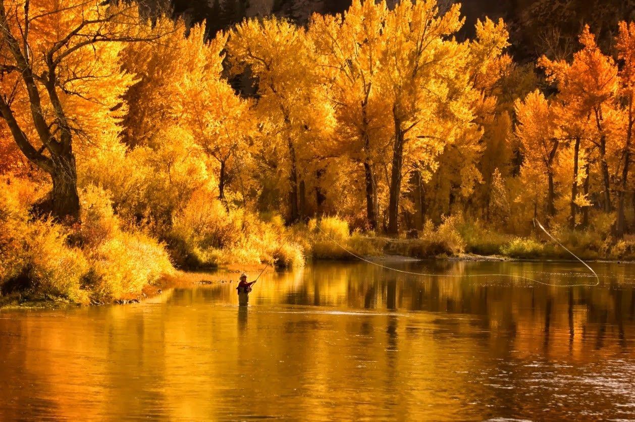 Fly fishing background Gallery