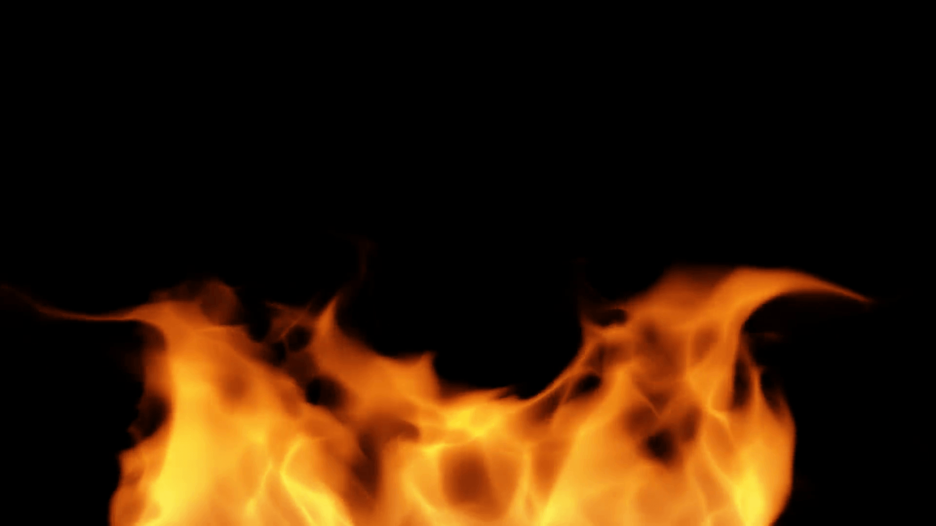 Fire burning black background Motion Background