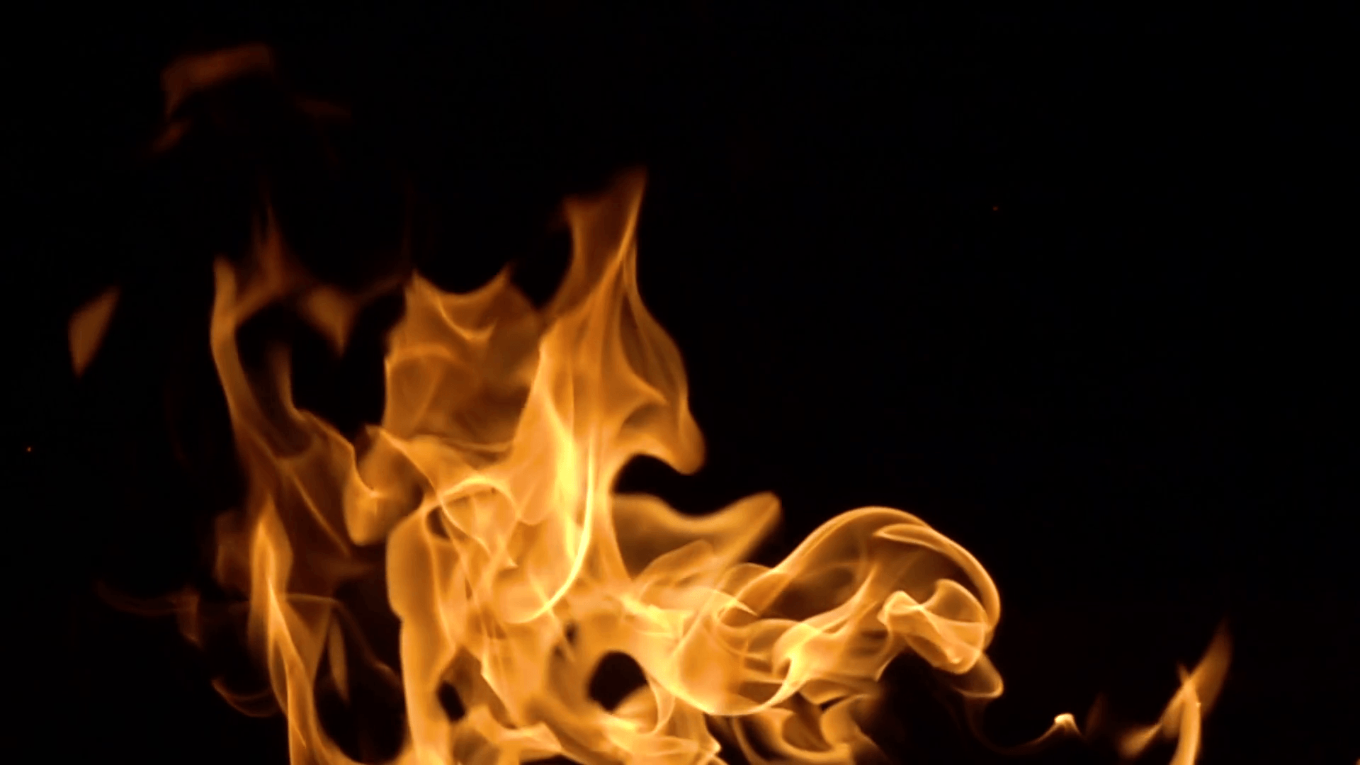 Flames of fire on black background in slow motion Stock Video