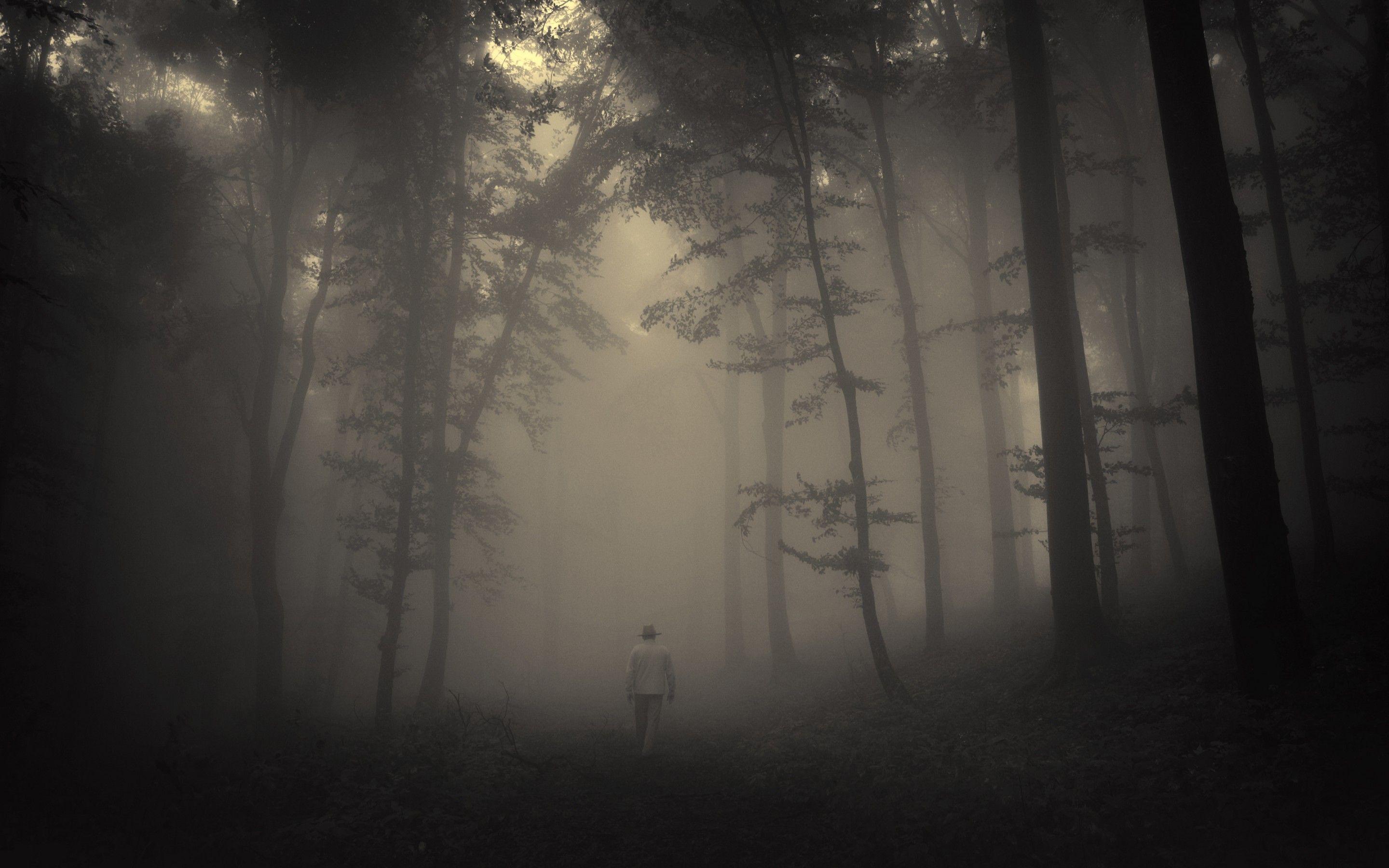 Forest trees creepy nature landscape misty lonely old man road mood