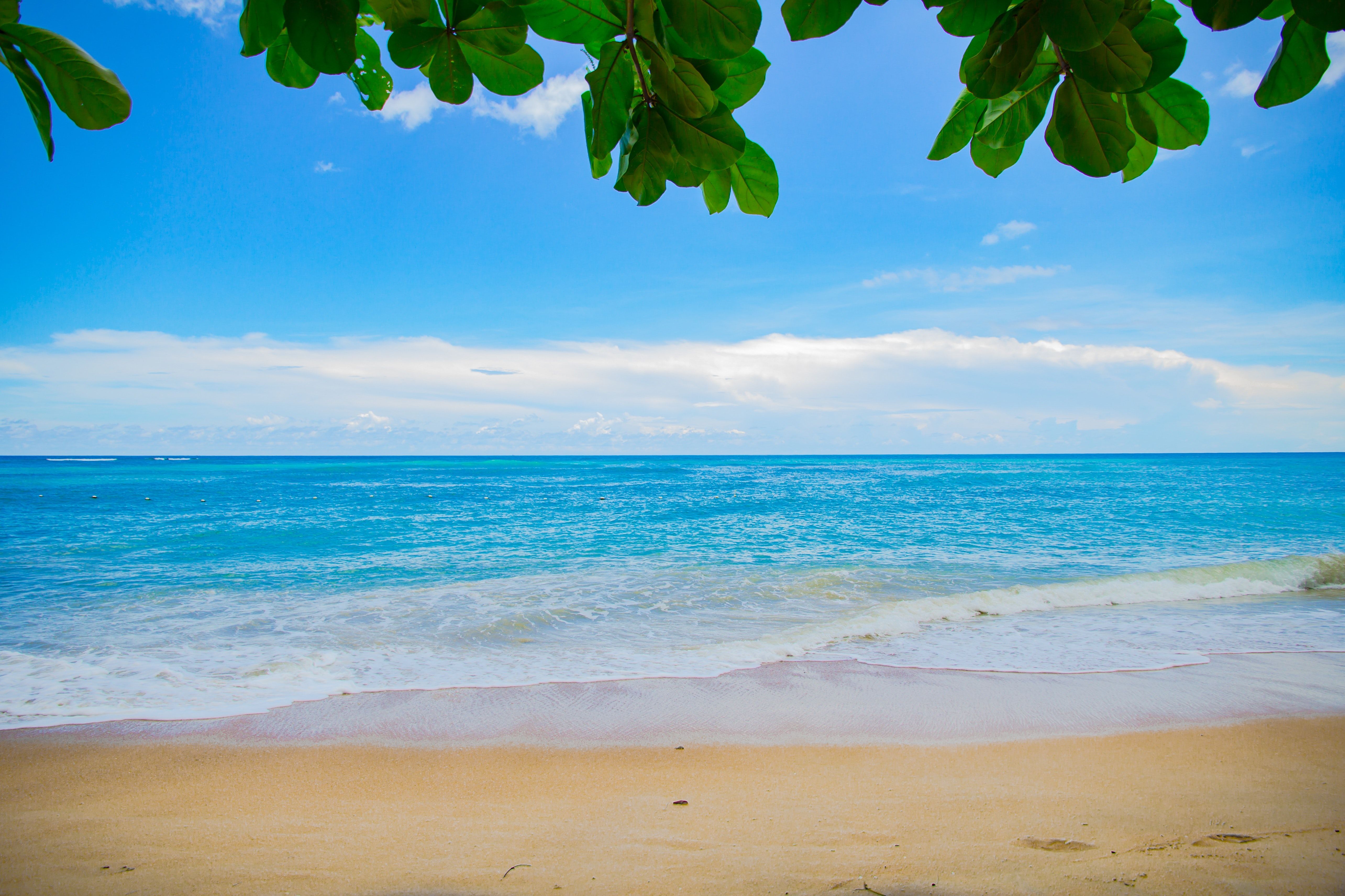 Free beach picture