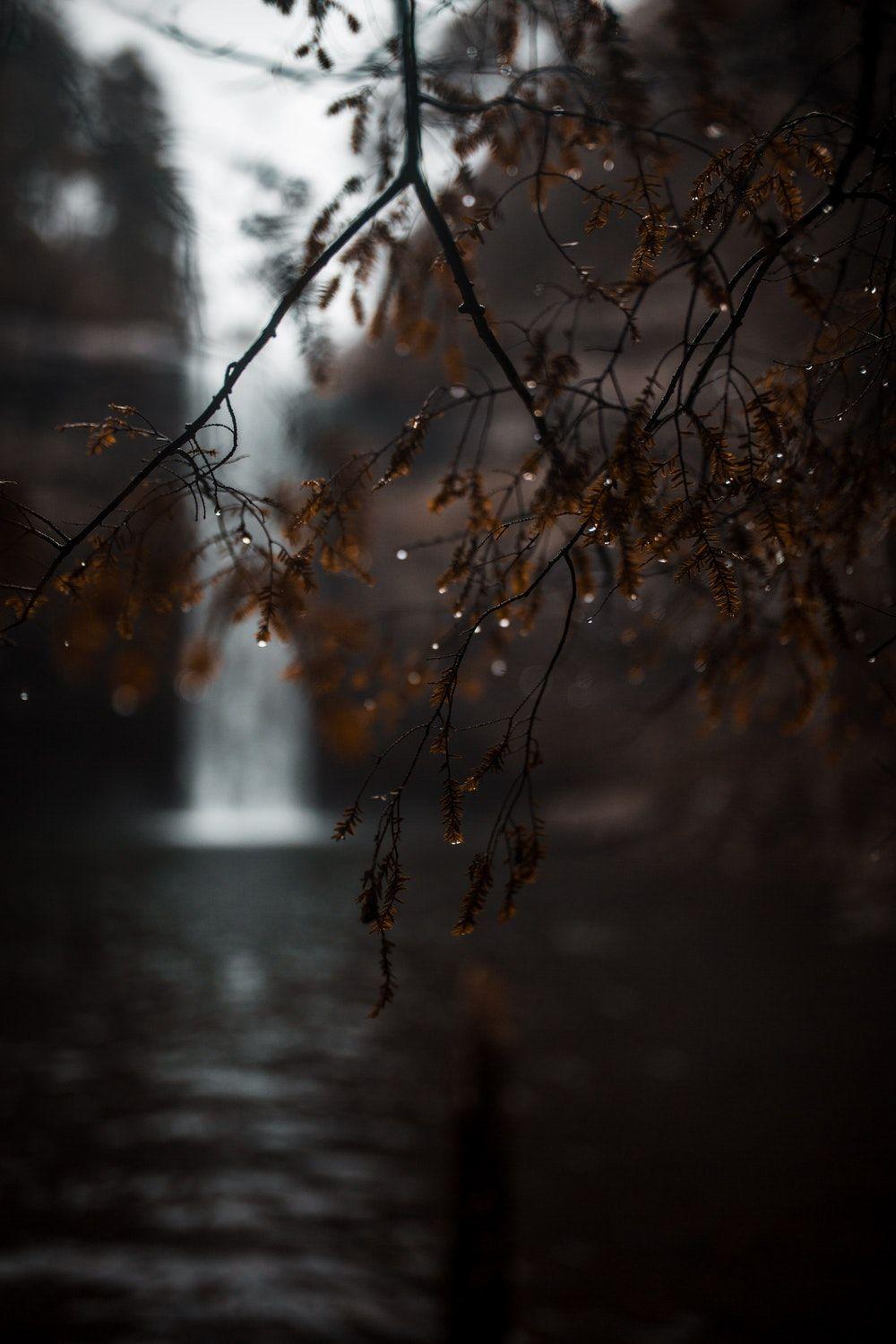 Rainy Day Picture [HQ]. Download Free Image