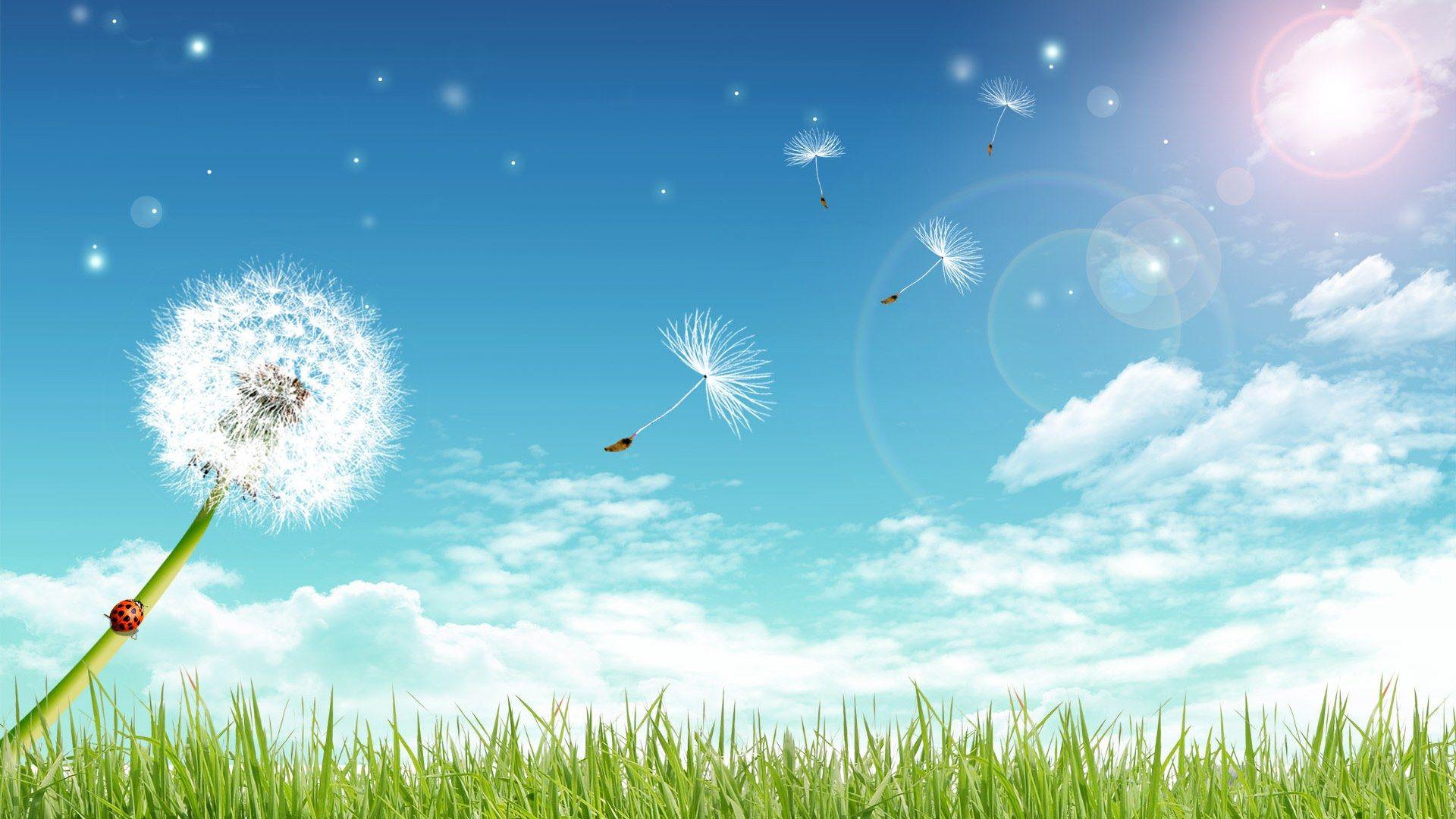 Blue Sky Wallpaper, 41 Blue Sky HD Wallpaper Background