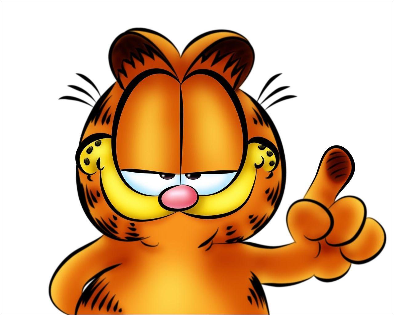 Garfield Picture