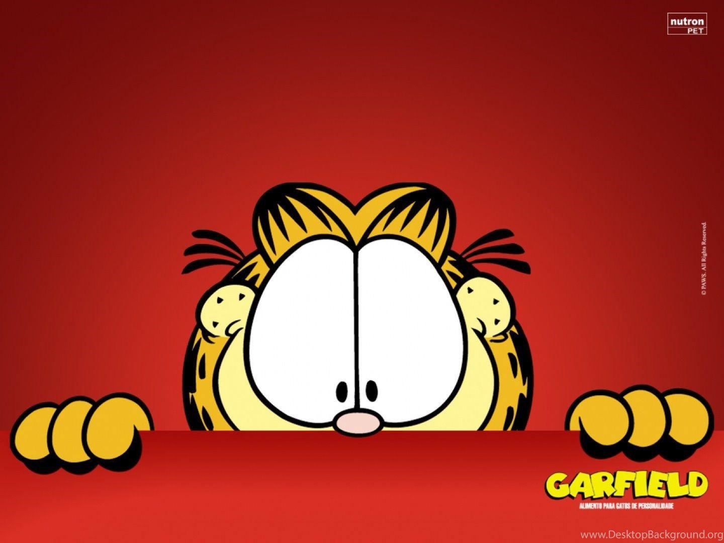 Gambar Garfield Wallpapers - Wallpaper Cave