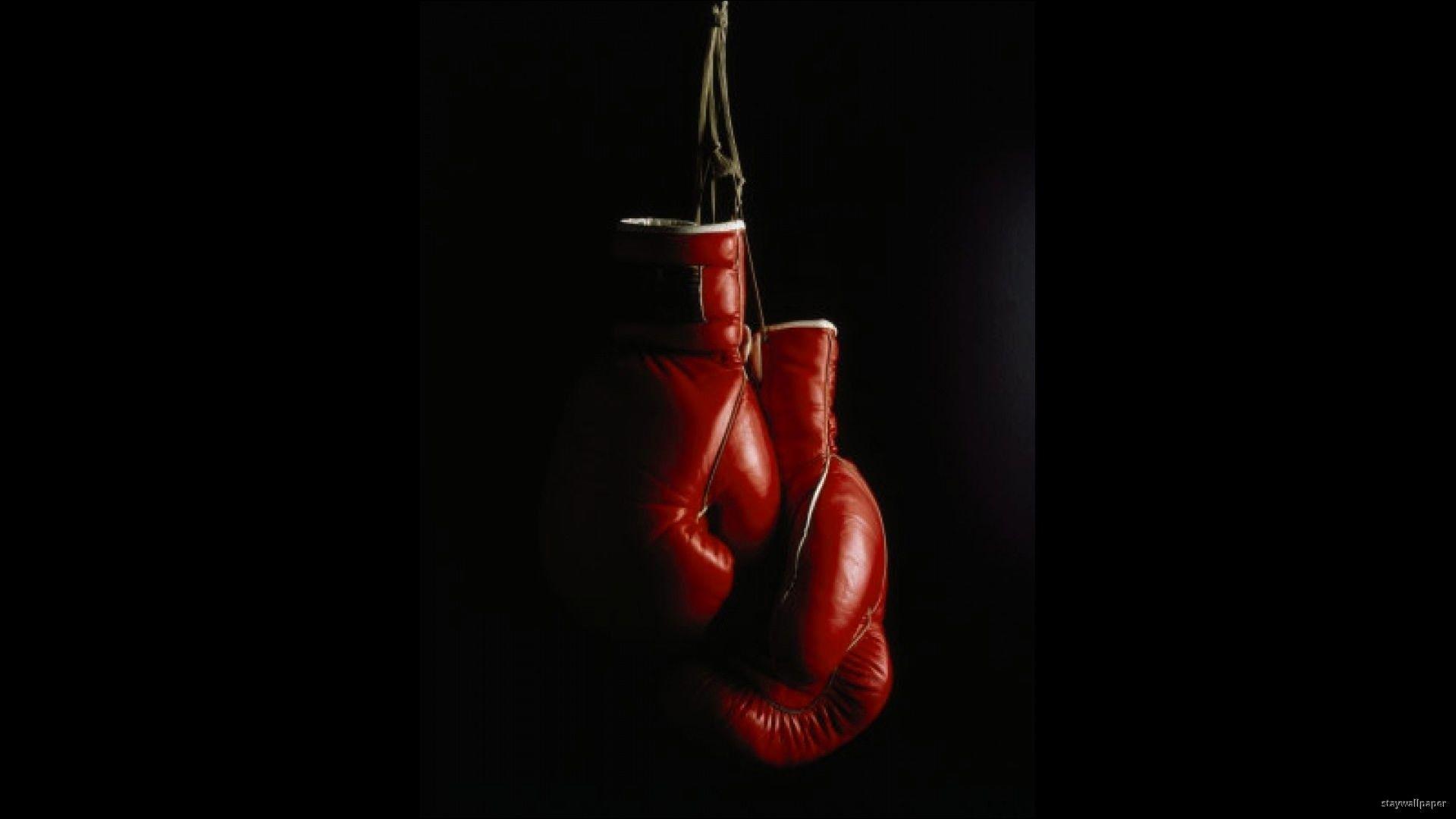 Boxing Gloves Wallpaper background picture