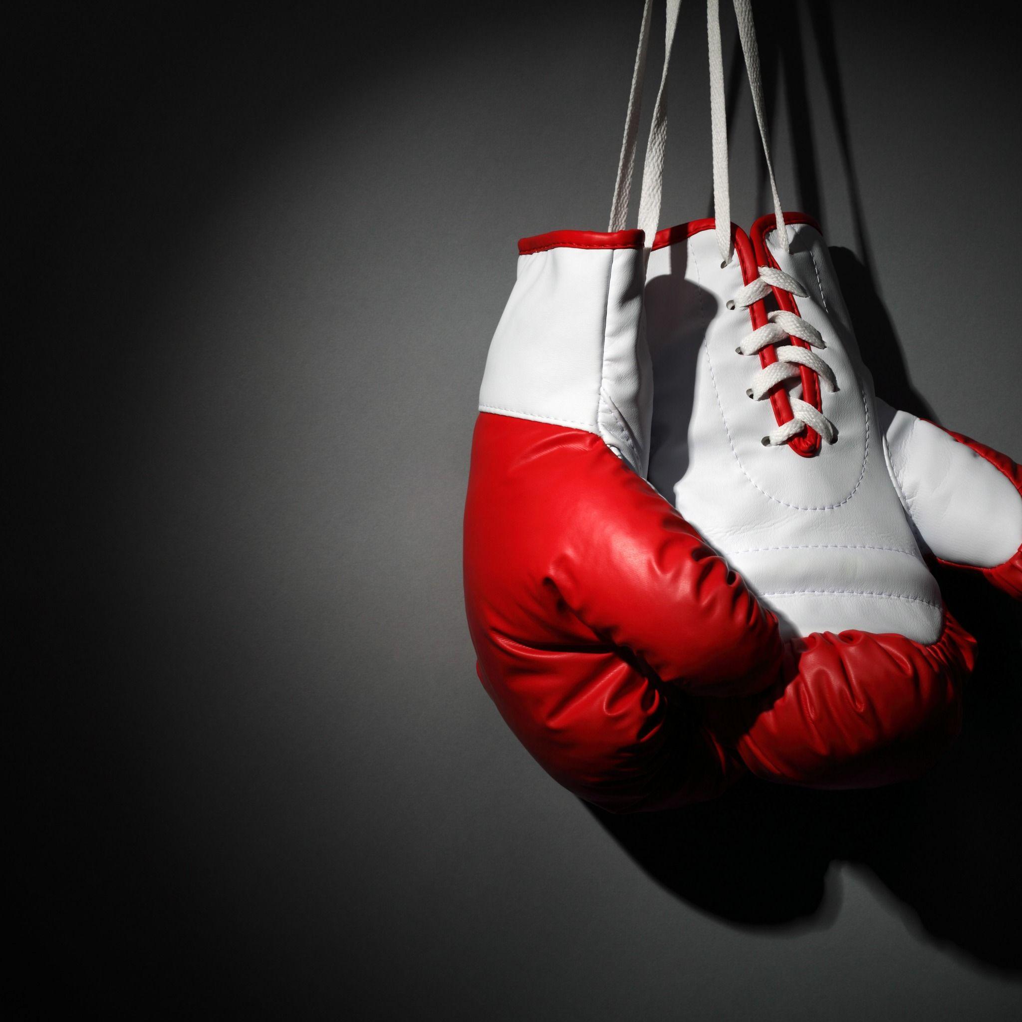 Download wallpaper Boxing, boxing, martial art, Boxing gloves, hang