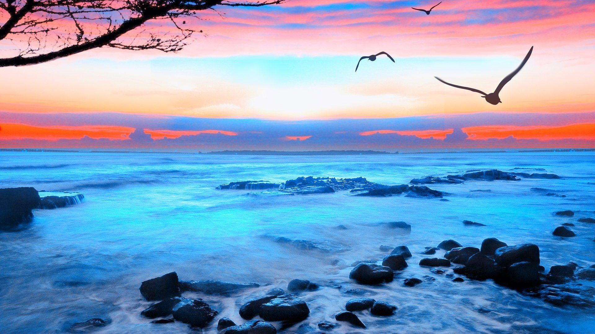 Sunrise Sunset Landscape Sea Seagulls Beautiful 3D Nature Wallpaper