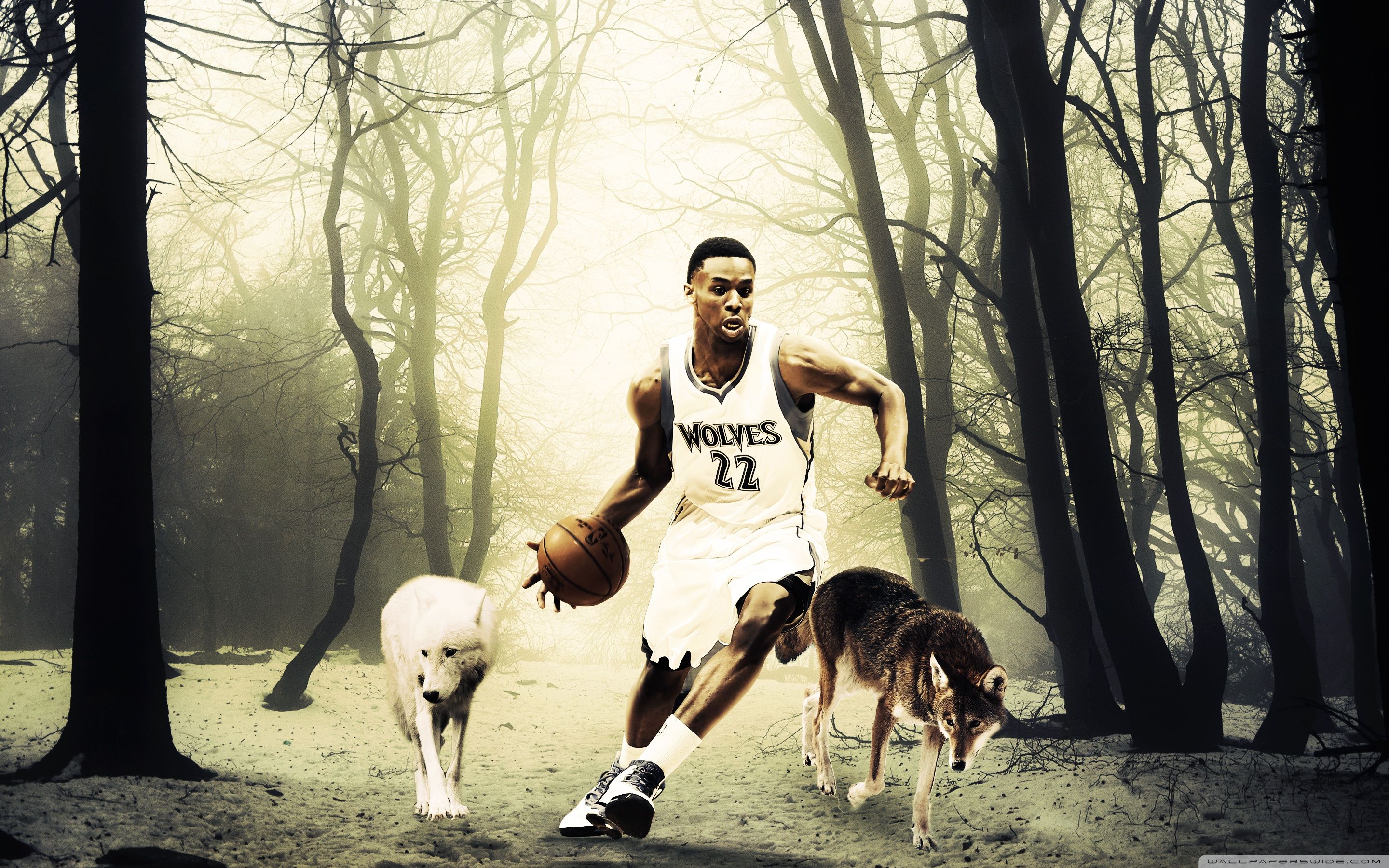 Andrew Wiggins ❤ 4K HD Desktop Wallpaper for 4K Ultra HD TV