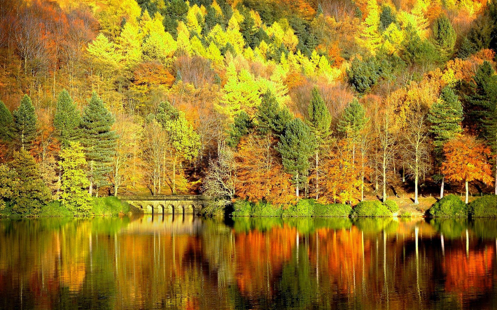 Autumn Wallpaper Download 1366768 High Definition Wallpaper