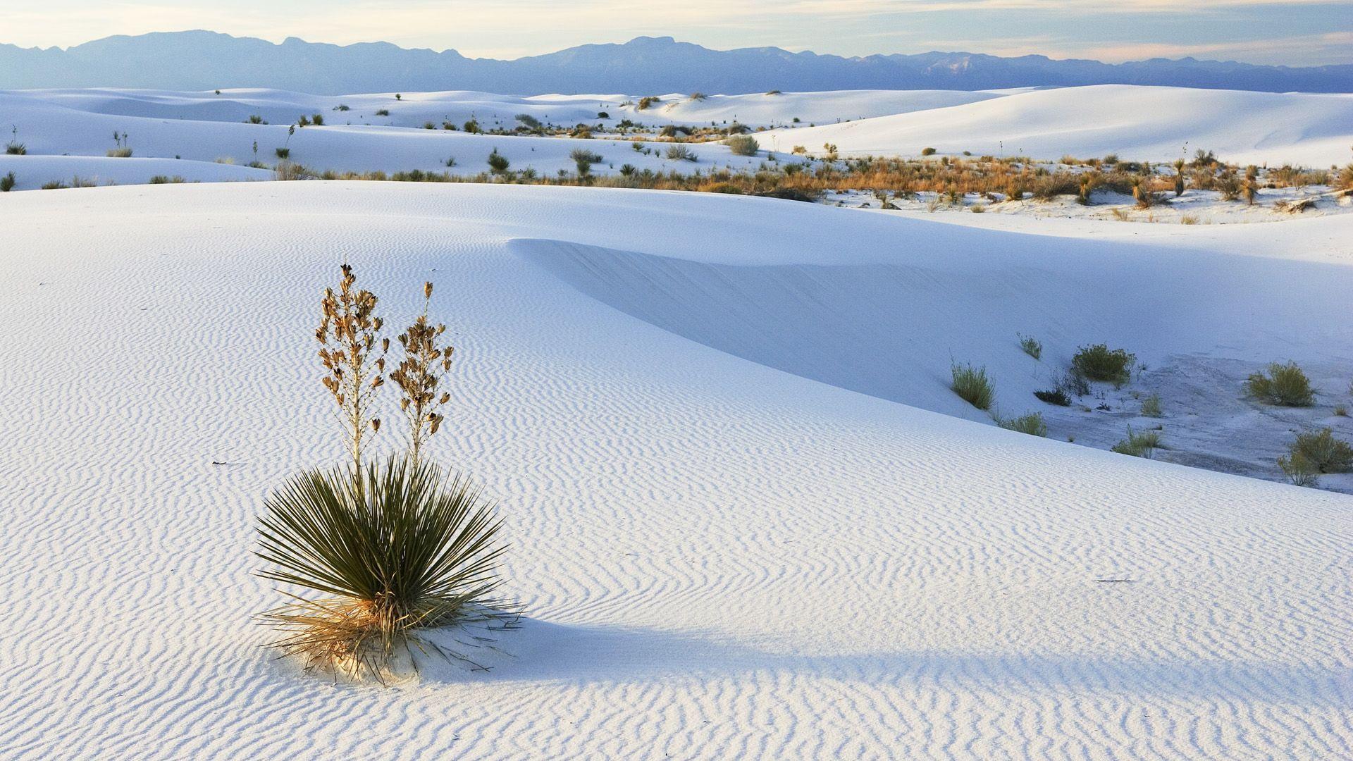 White Sand Desert HD Wallpaperx1080