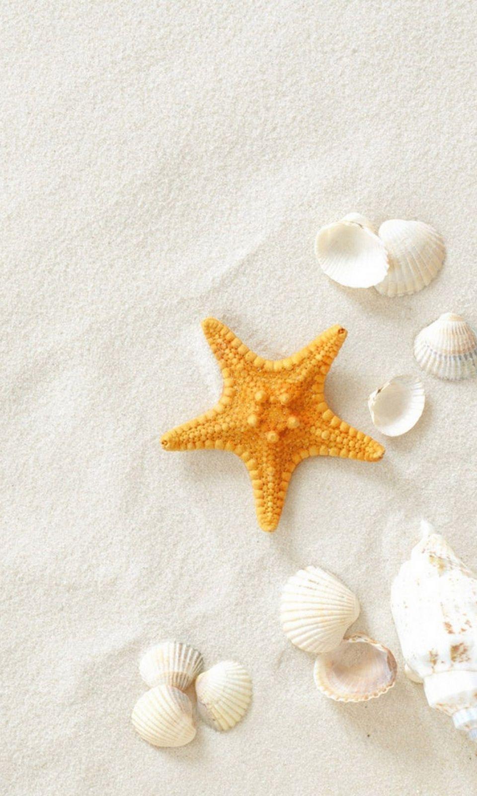 White Sand Starfish Clam Shells Mobile Wallpaper